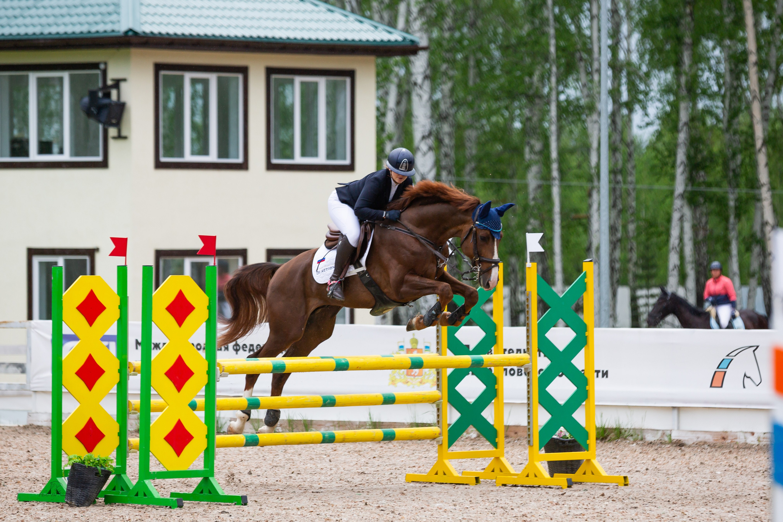 турнирный конный фотограф Екатеринбург, фото с соревнований КСК Дубрава, конный фотограф Екатеринбург, конкур, соревнования по конному спорту, Фотограф анималист Екатеринбург