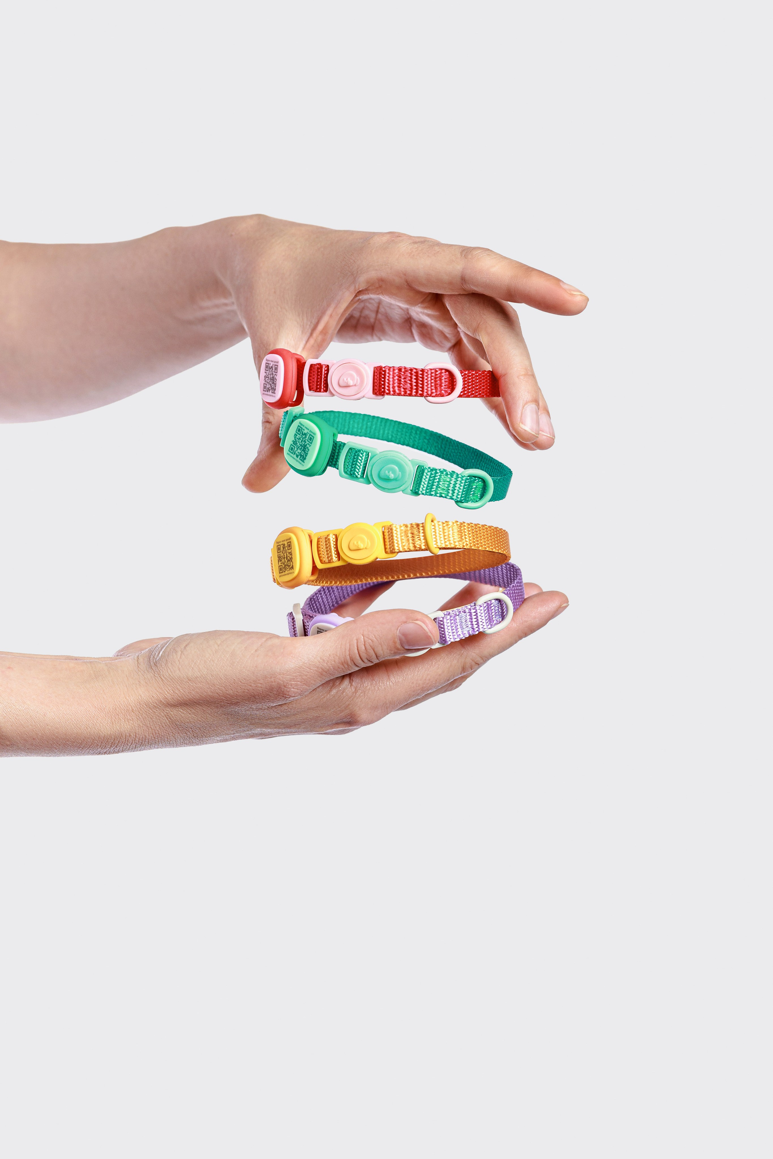 In good company для собак. Фотограф в Москве Татьяна Драгунова