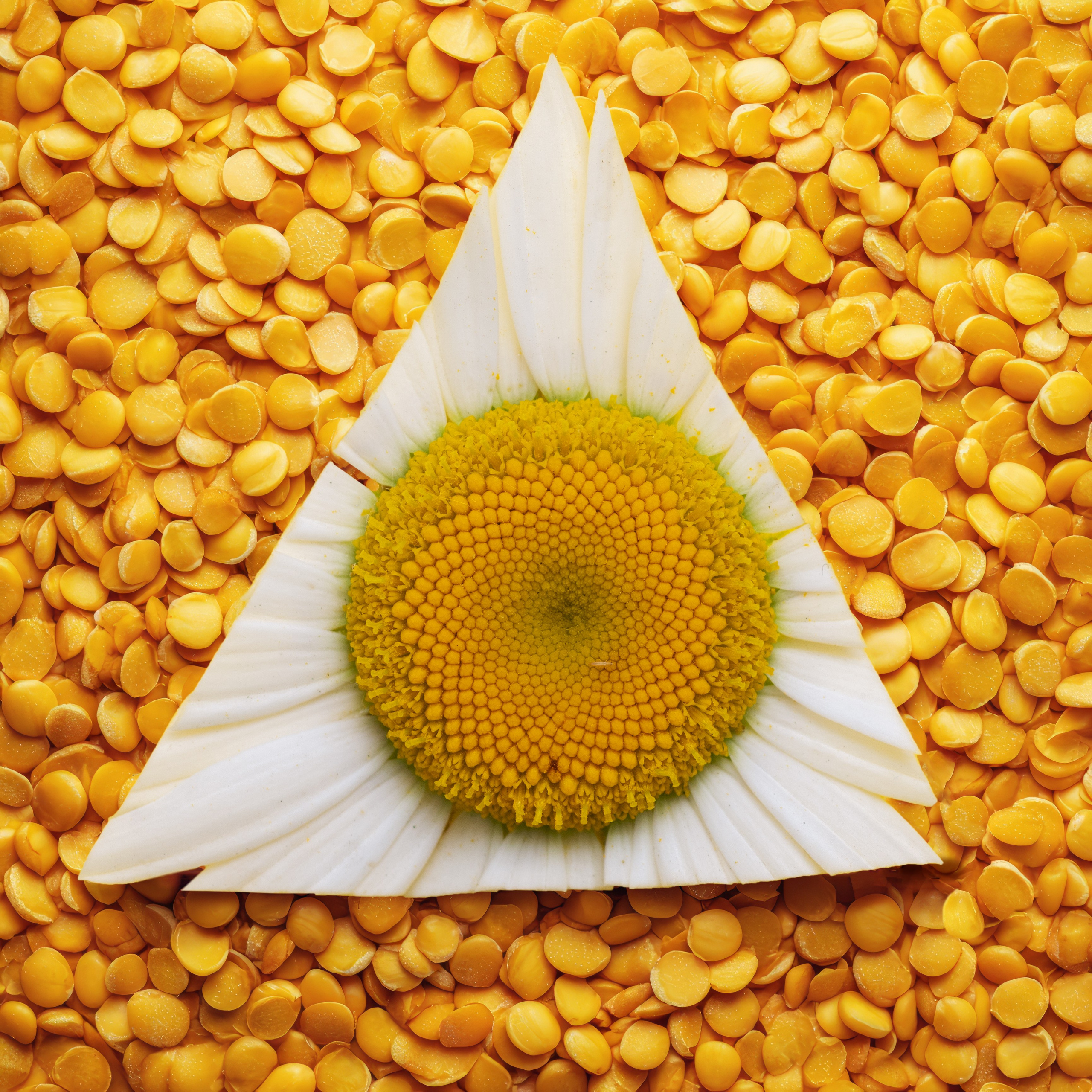 Кубики. Alena Ivochkina — conceptual photographer