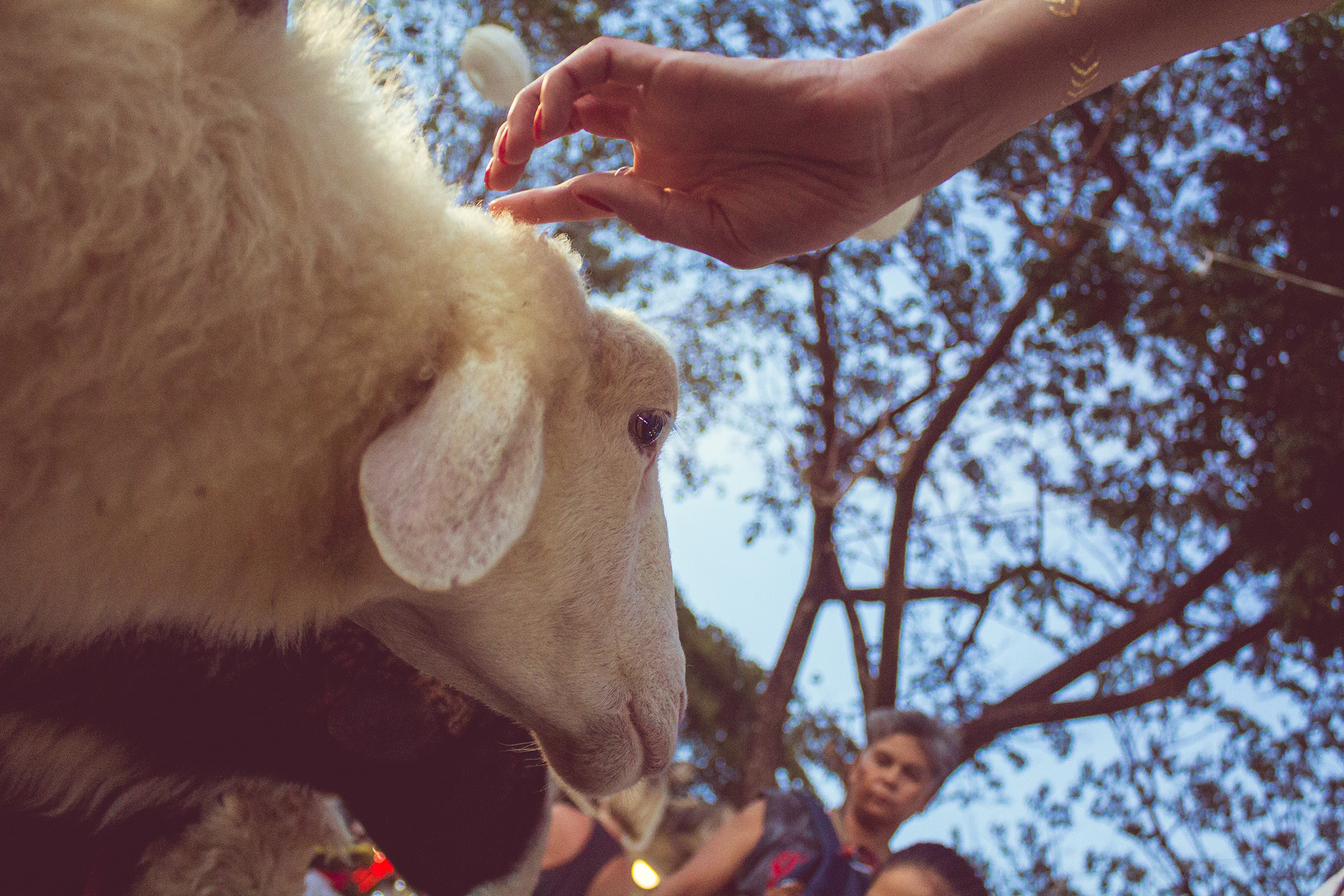 Тайланд. Дима Колес / фото и видео съёмка в Москве