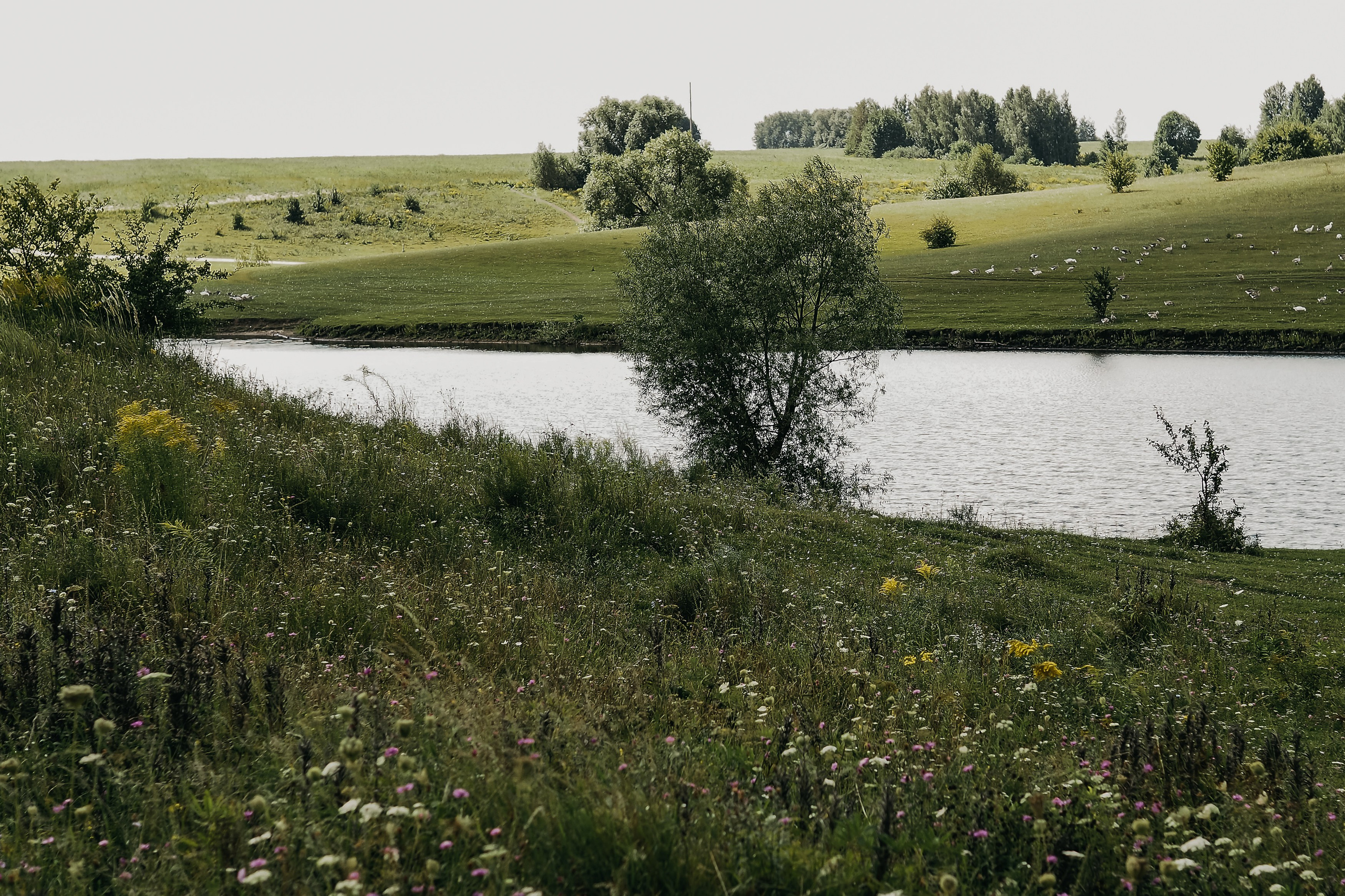 Толмачевский пруд. Фотограф Павлова Светлана / Брянск /