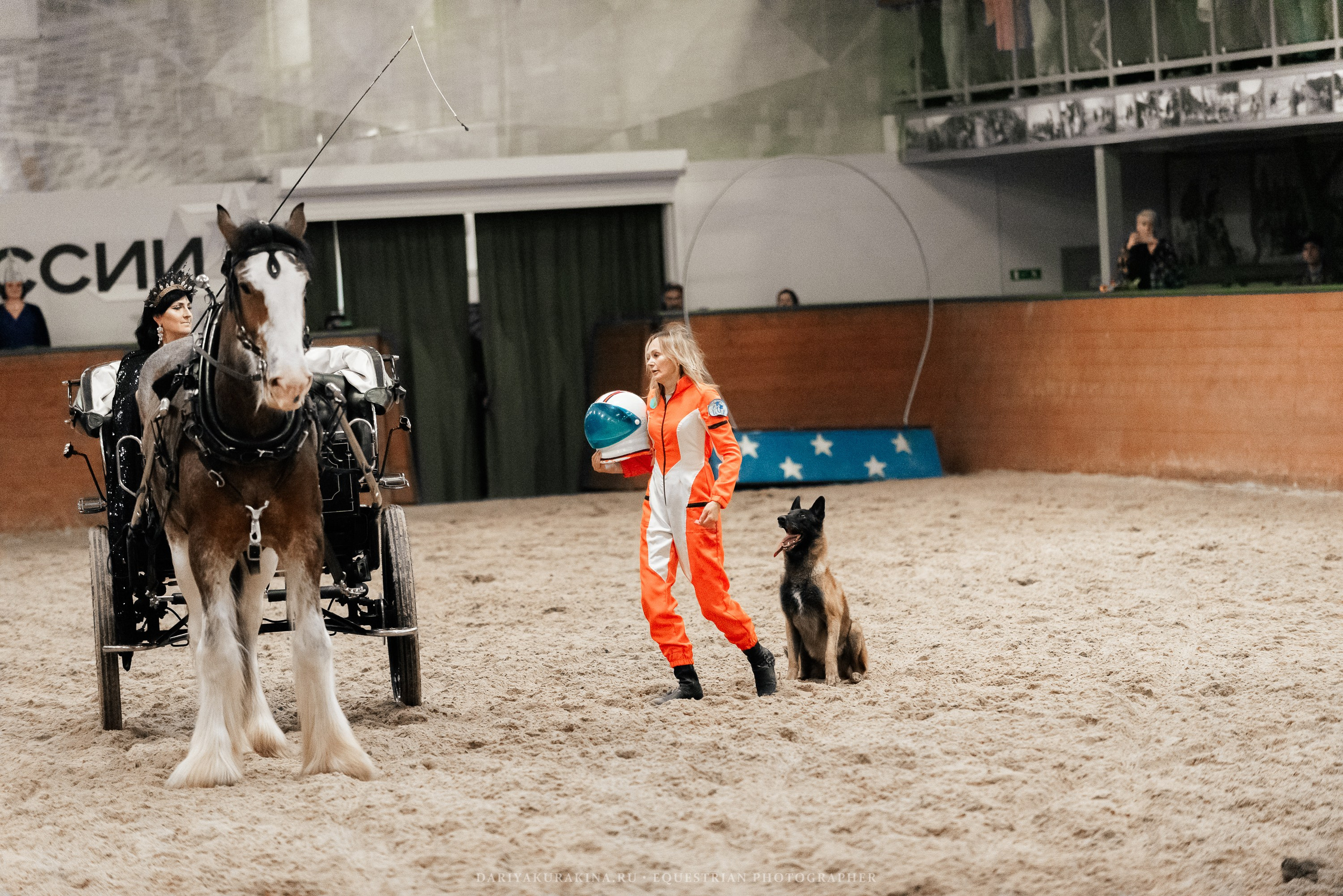 Конное представление «Дыхание Звёзд». Конный фотограф Куракина Дарья • Фотосессии с лошадьми