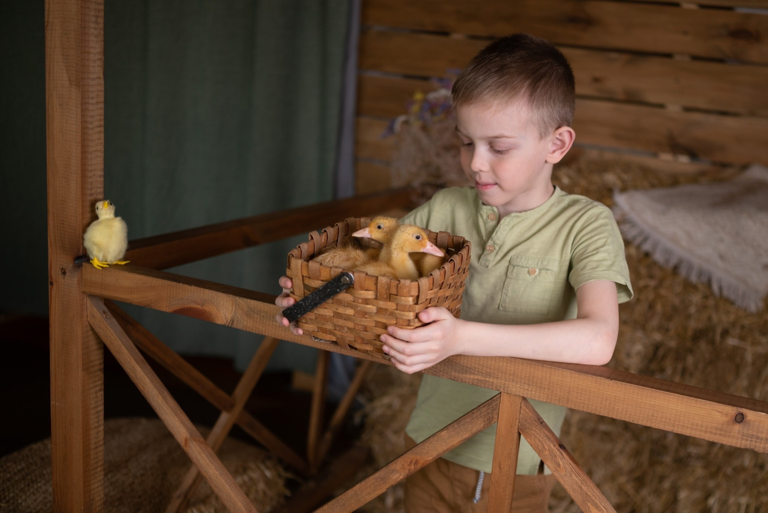 Кролик «Бублик» и цыплята. Фотограф в Тюмени Голышева Елена