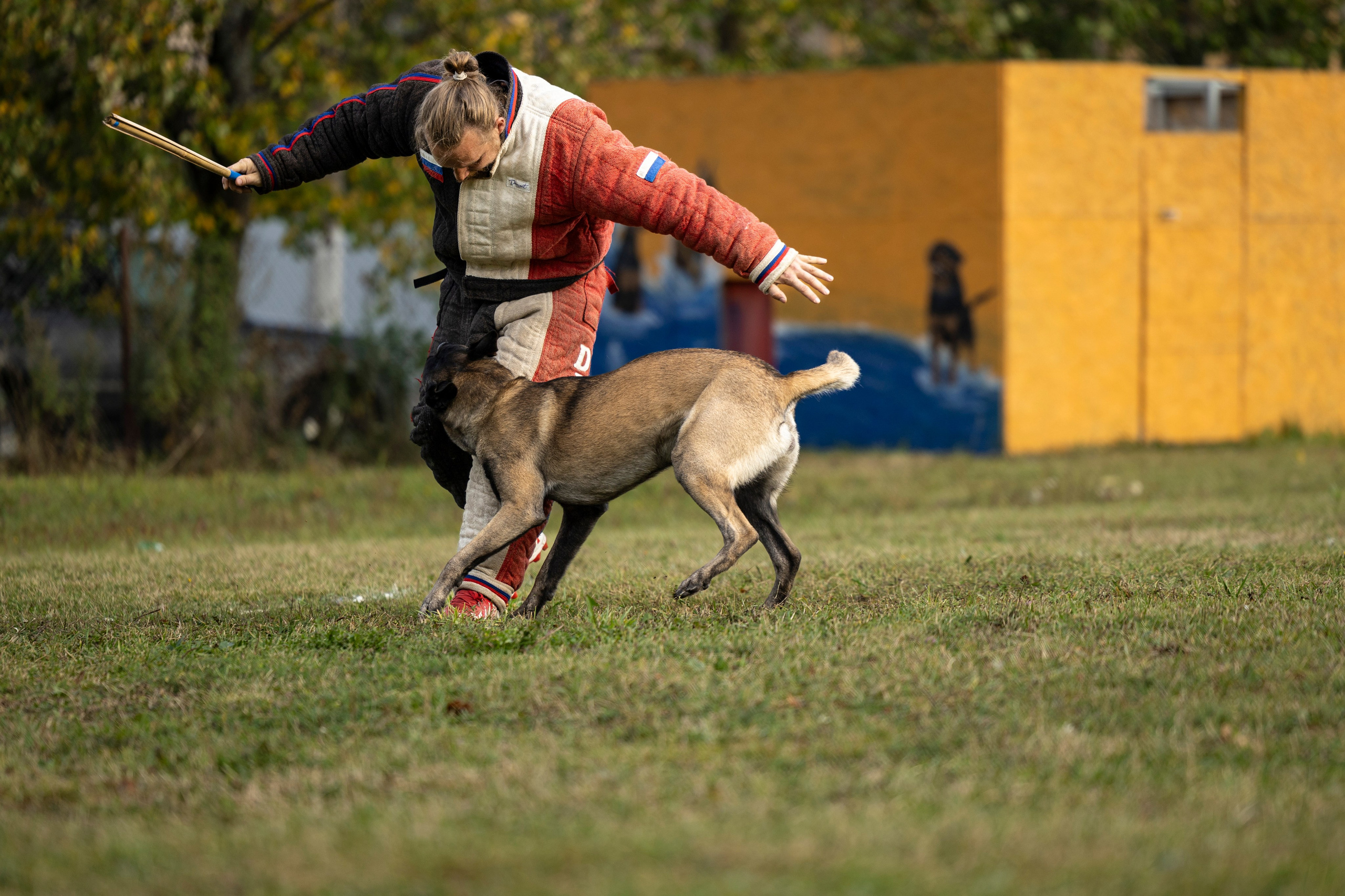 Испытания по Мондьорингу г. Пушкин. Фотограф-анималист Анна Маринич