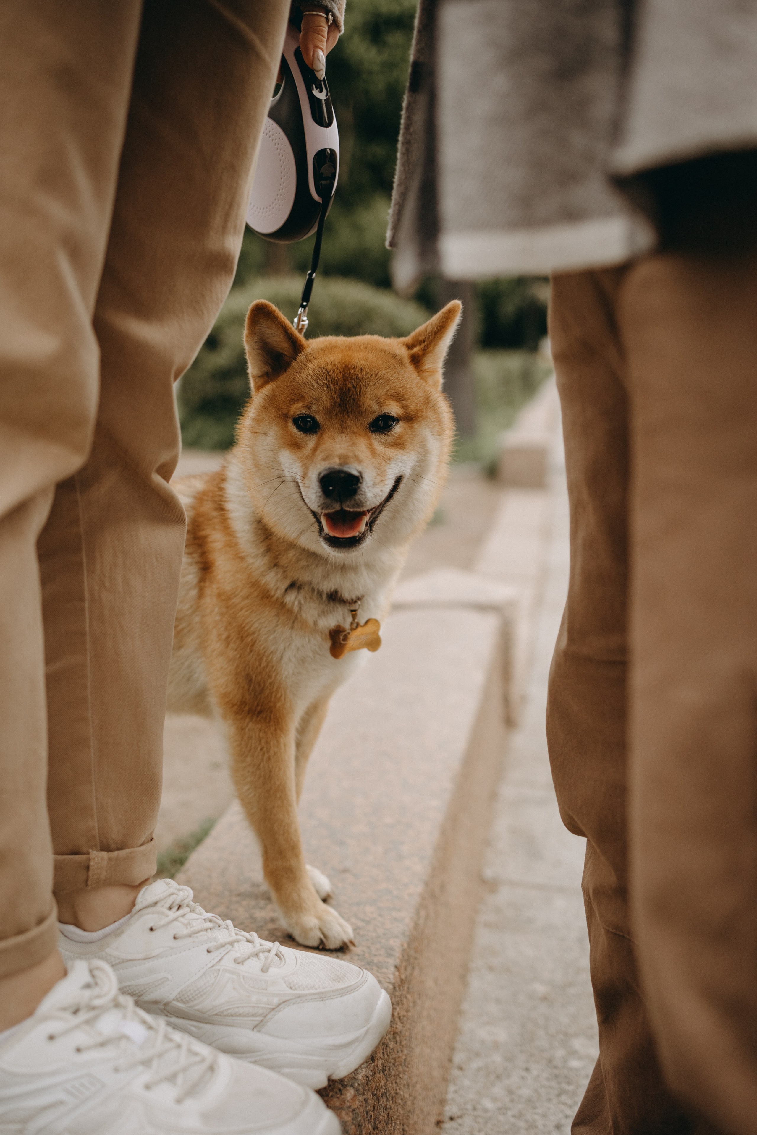 Сириус и его семья. Фотограф — Анималист | Санкт-Петербург