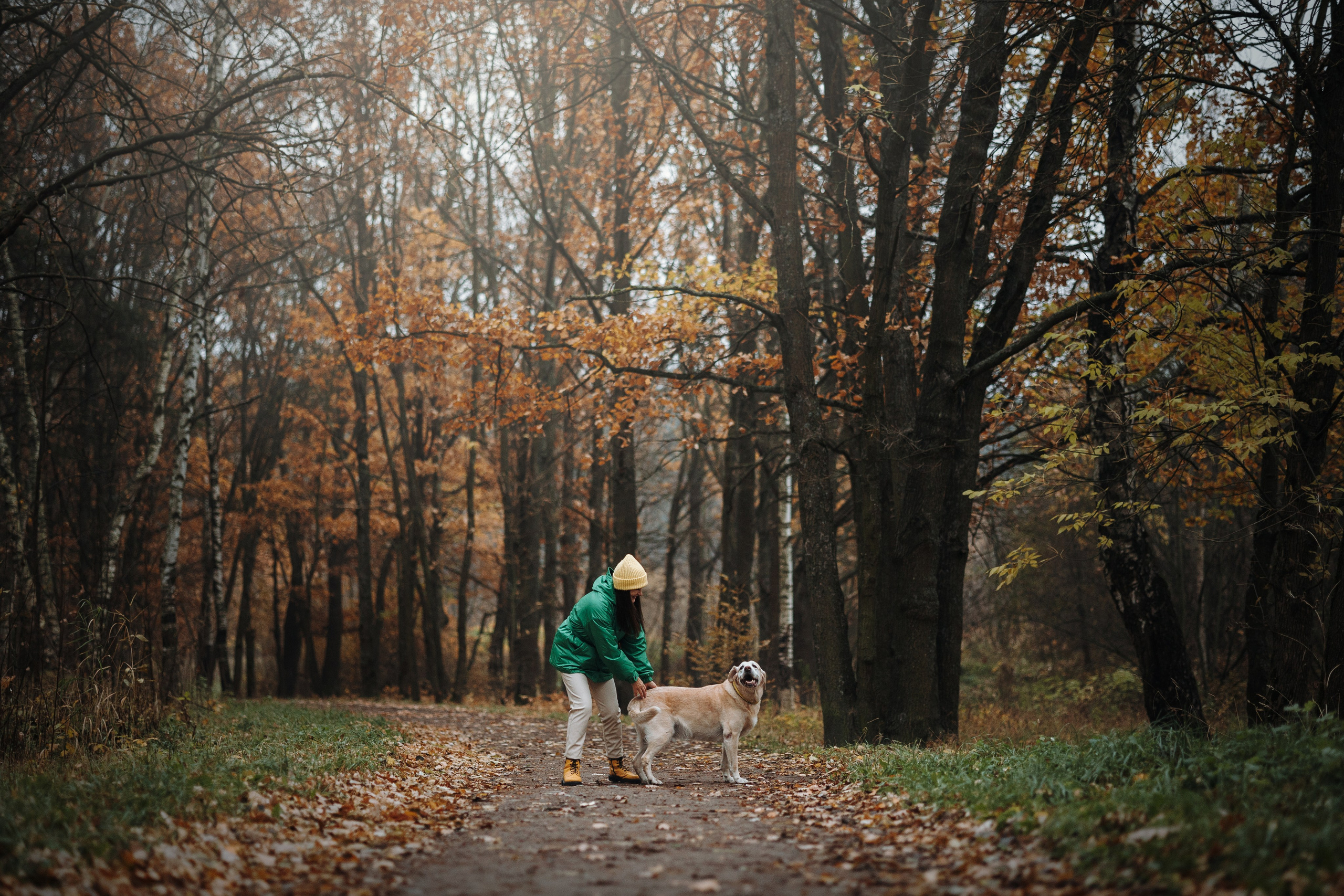 Оксана и Барон. Фотограф — Анималист | Санкт-Петербург