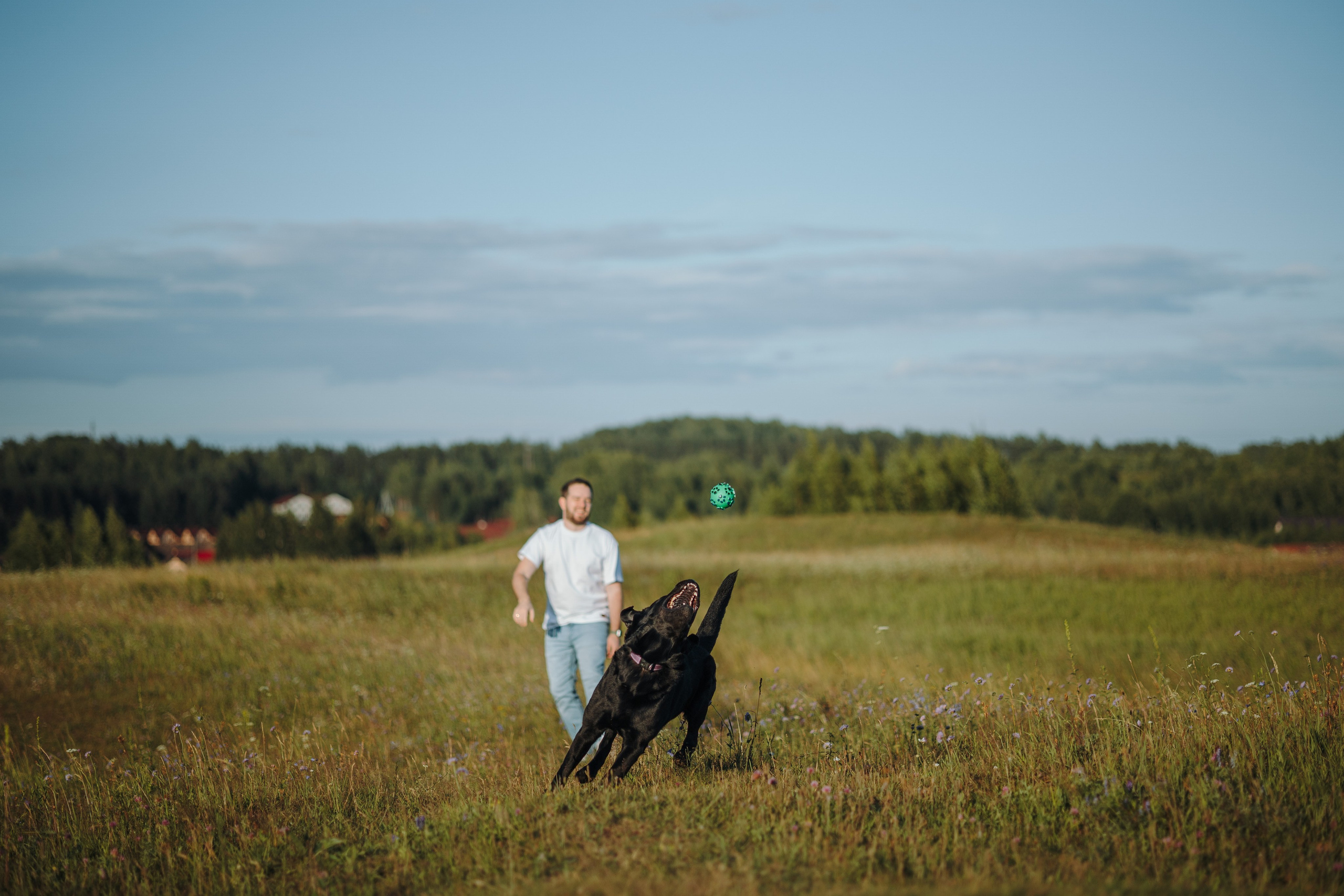 Бомбей и его семья. Фотограф — Анималист | Санкт-Петербург