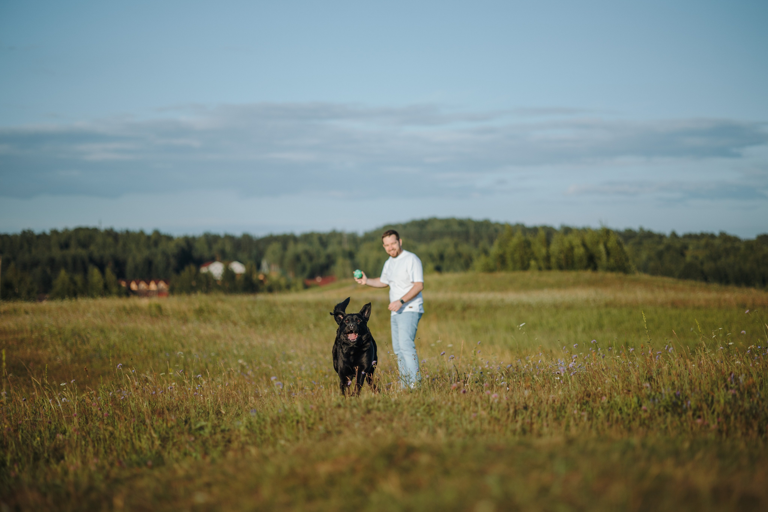 Бомбей и его семья. Фотограф — Анималист | Санкт-Петербург
