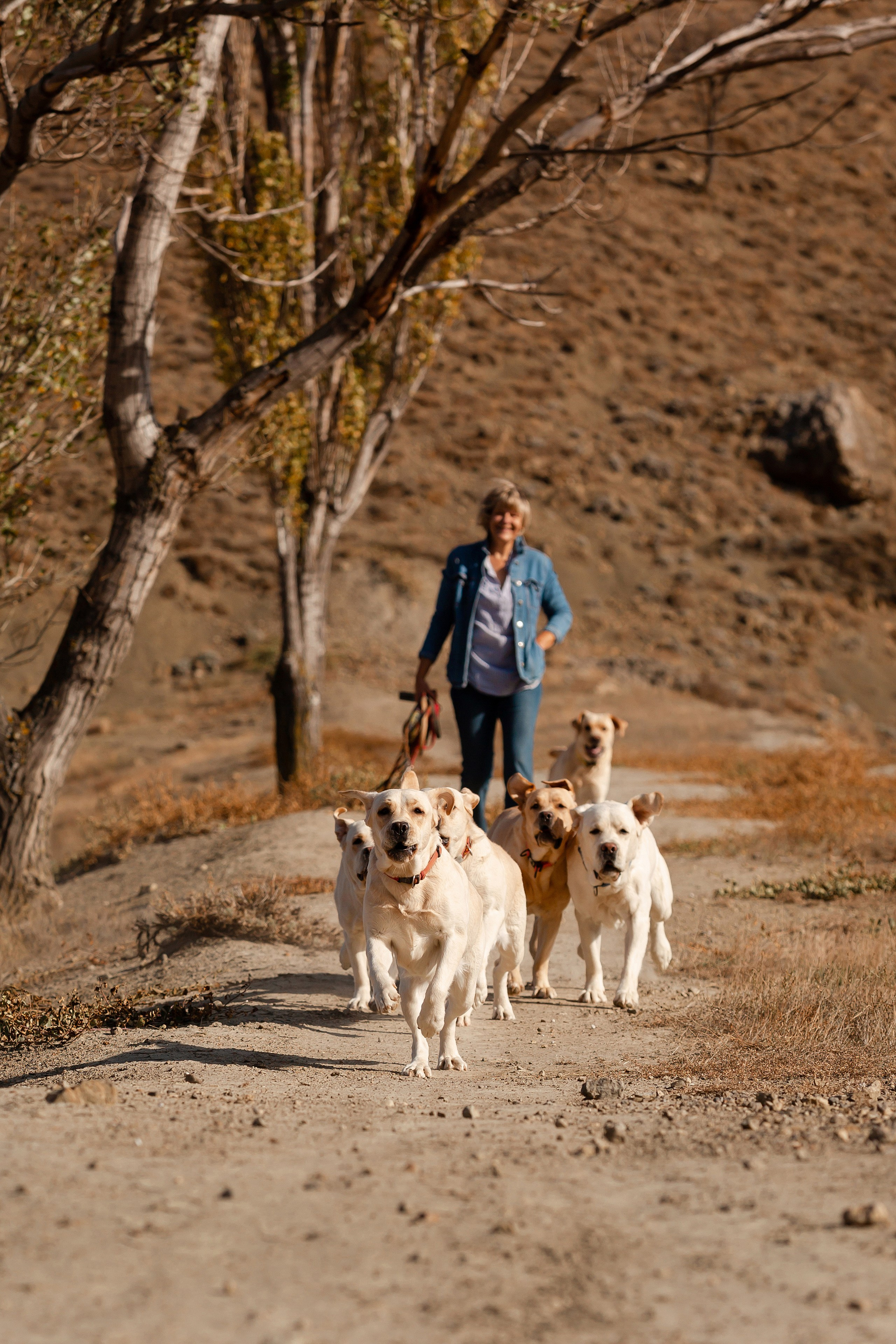 Лабрадоры и горы. Фотограф-анималист в Краснодаре Маша Мельникова
