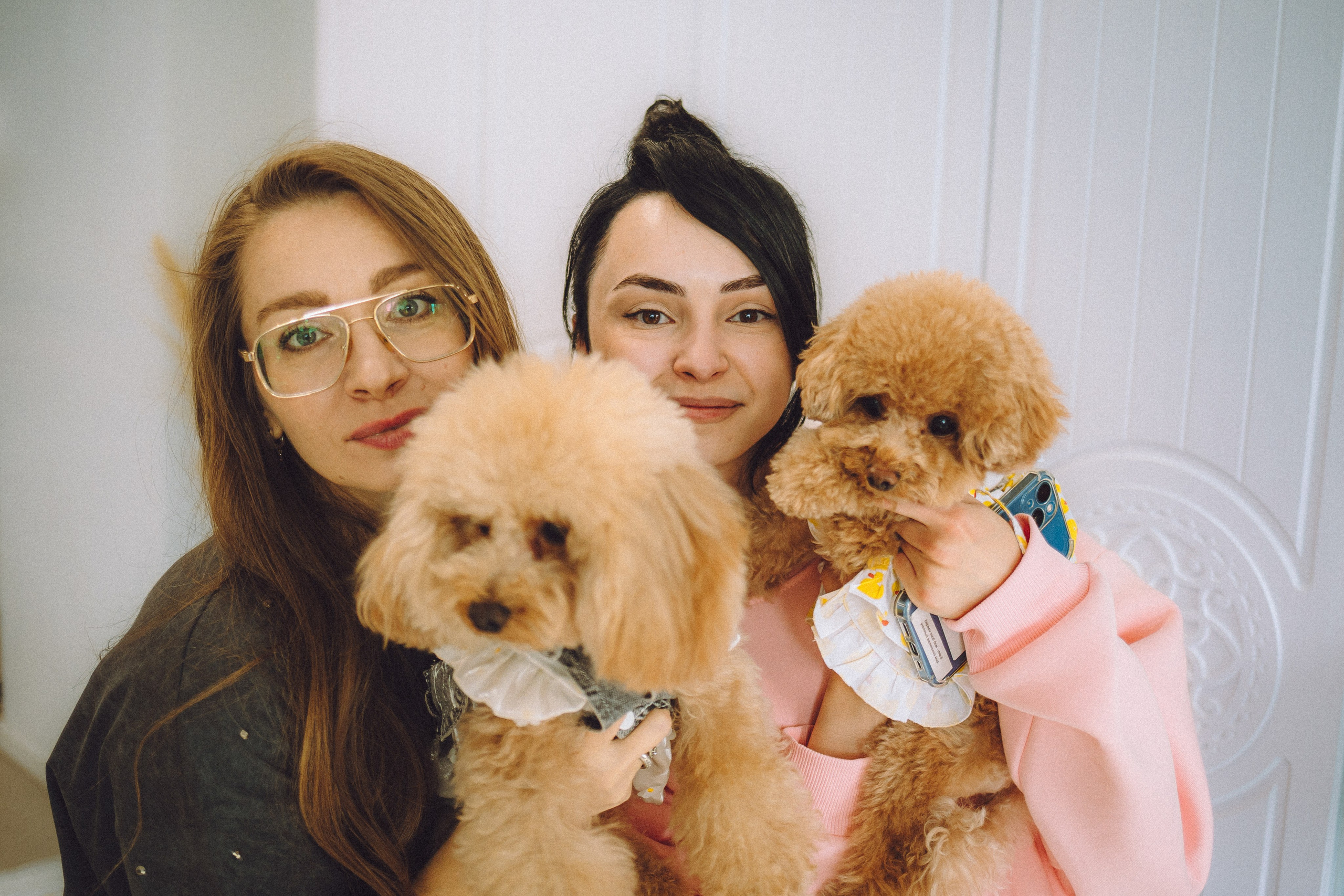 День Рождения пуделя Глаши