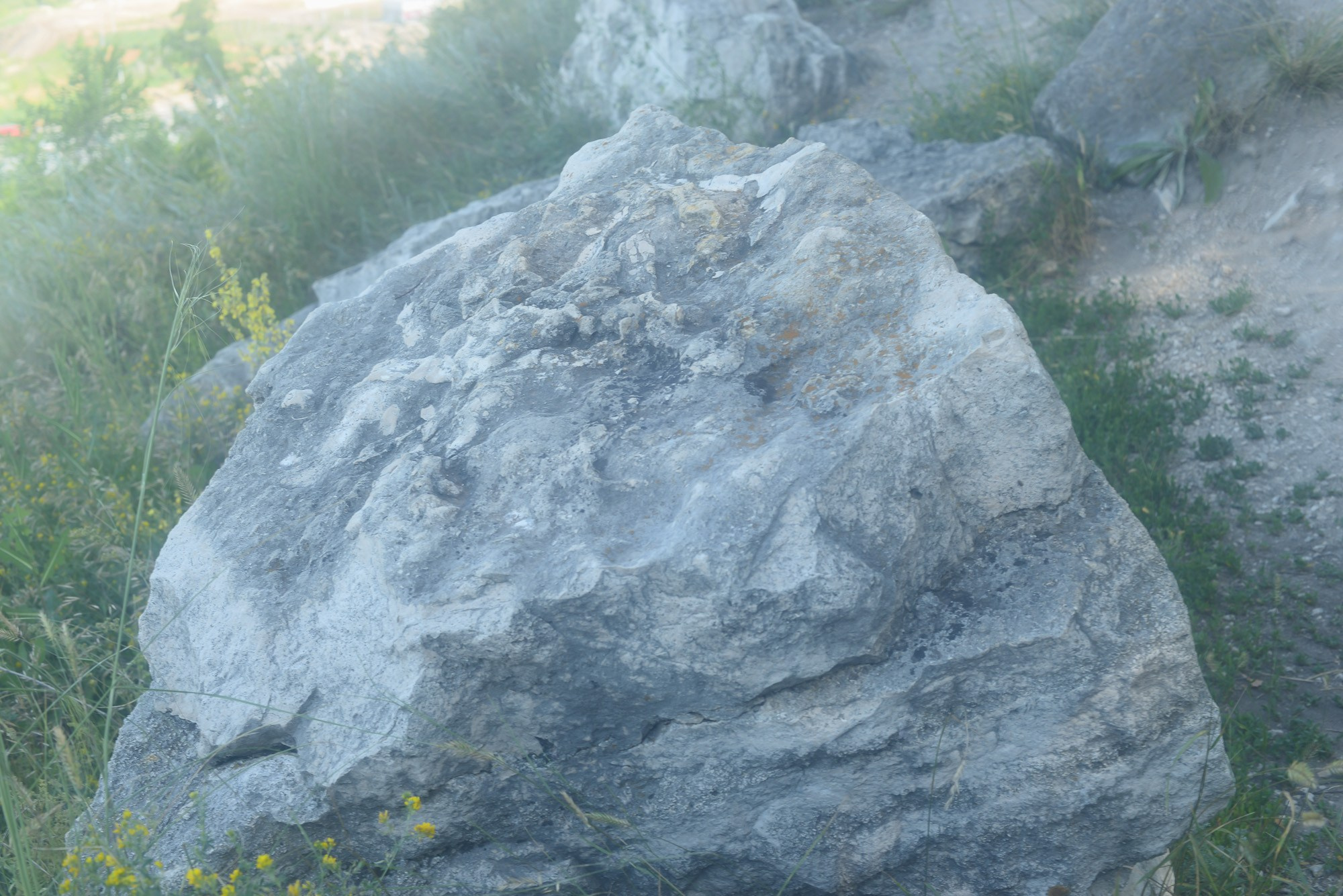 Фотограф Константин Ясинский