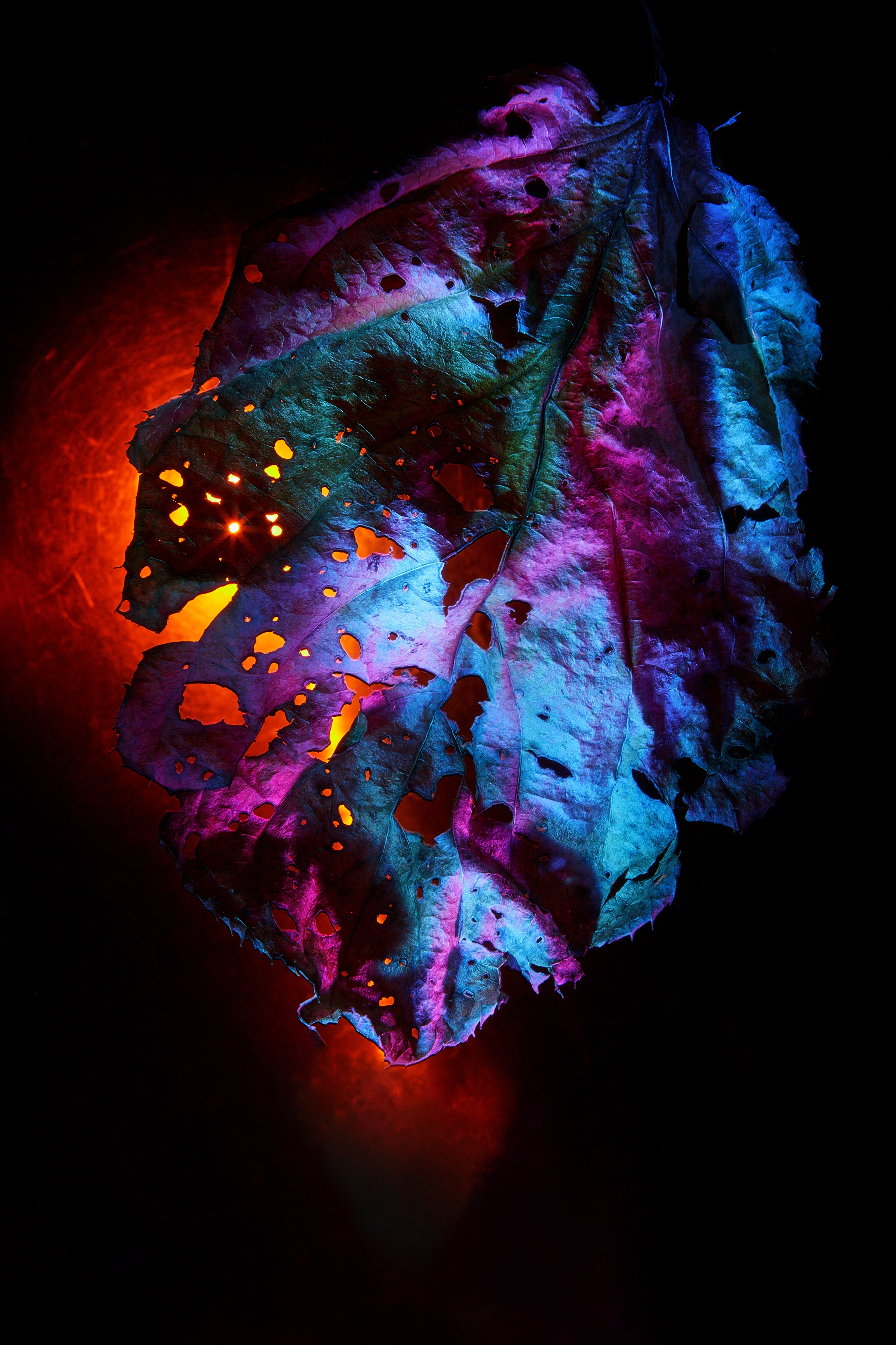 «Красок Тьма Полна». Арт-фотограф во Владивостоке Дмитрий Осипчук