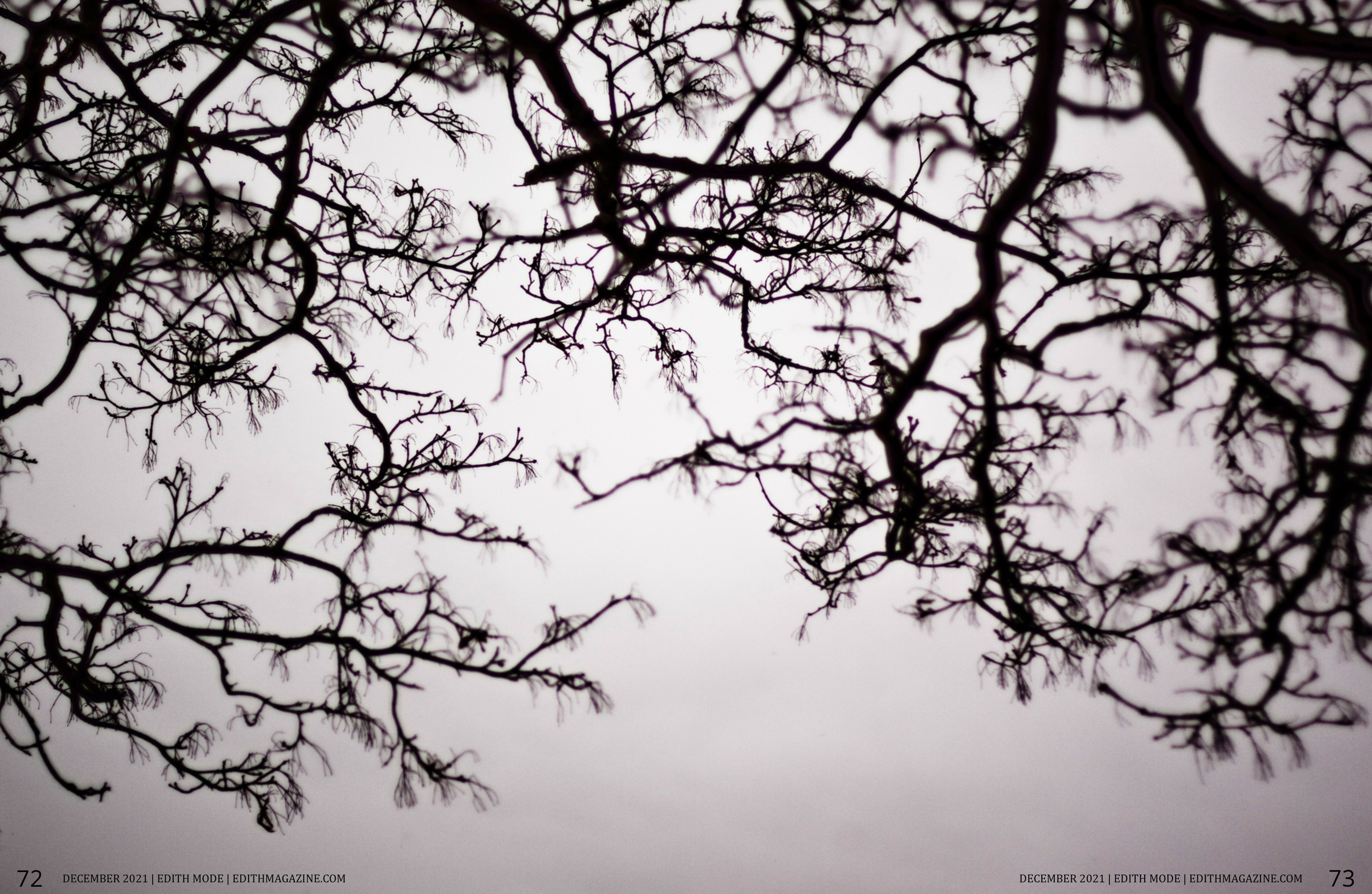 Edith Mode. Фотограф Александра Степанова