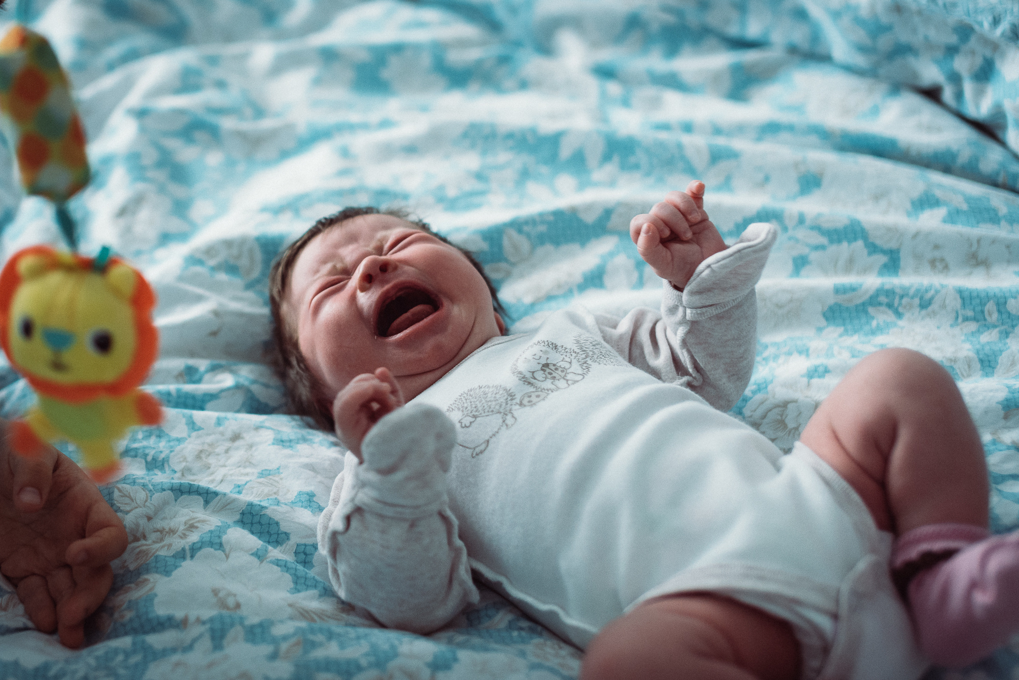 Вера - центр маленькой вселенной. Семейный и детский фотограф в Санкт-Петербурге Марина Сергеева