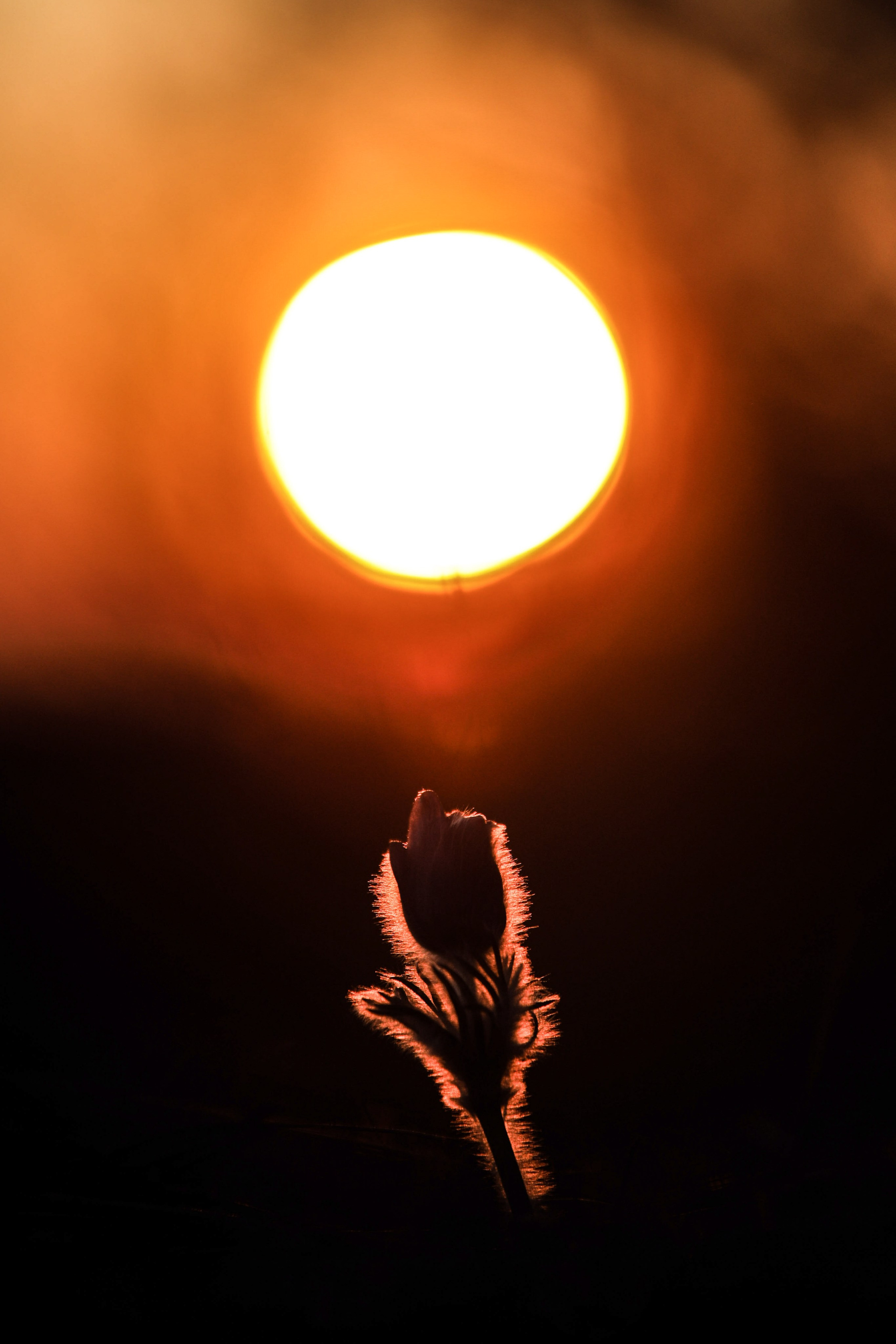 Природа. Глеб Захаренко — спортивный и репортажный фотограф в Крыму