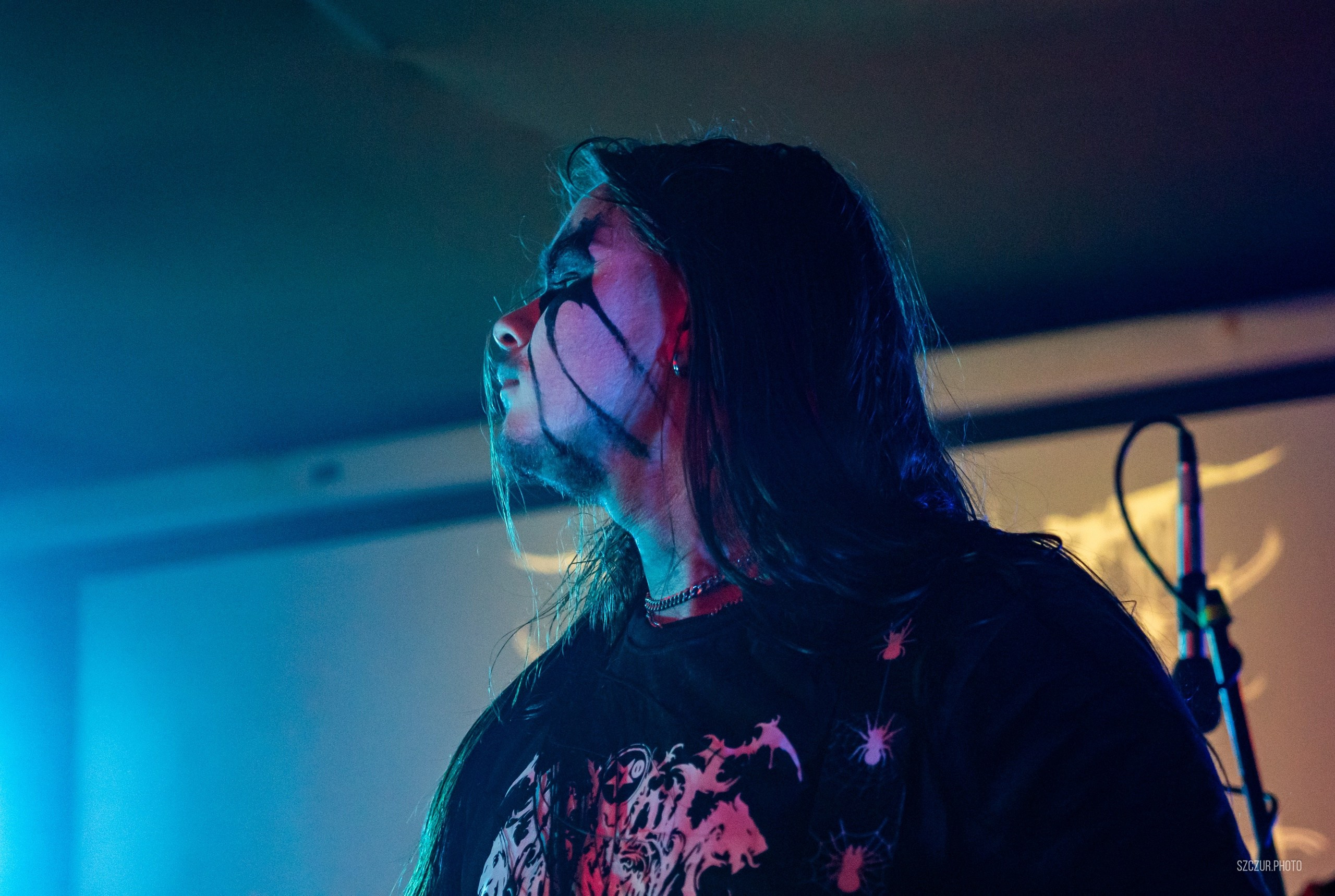 Волчьи Трупы в Городе 6.01.25. Szczur photo