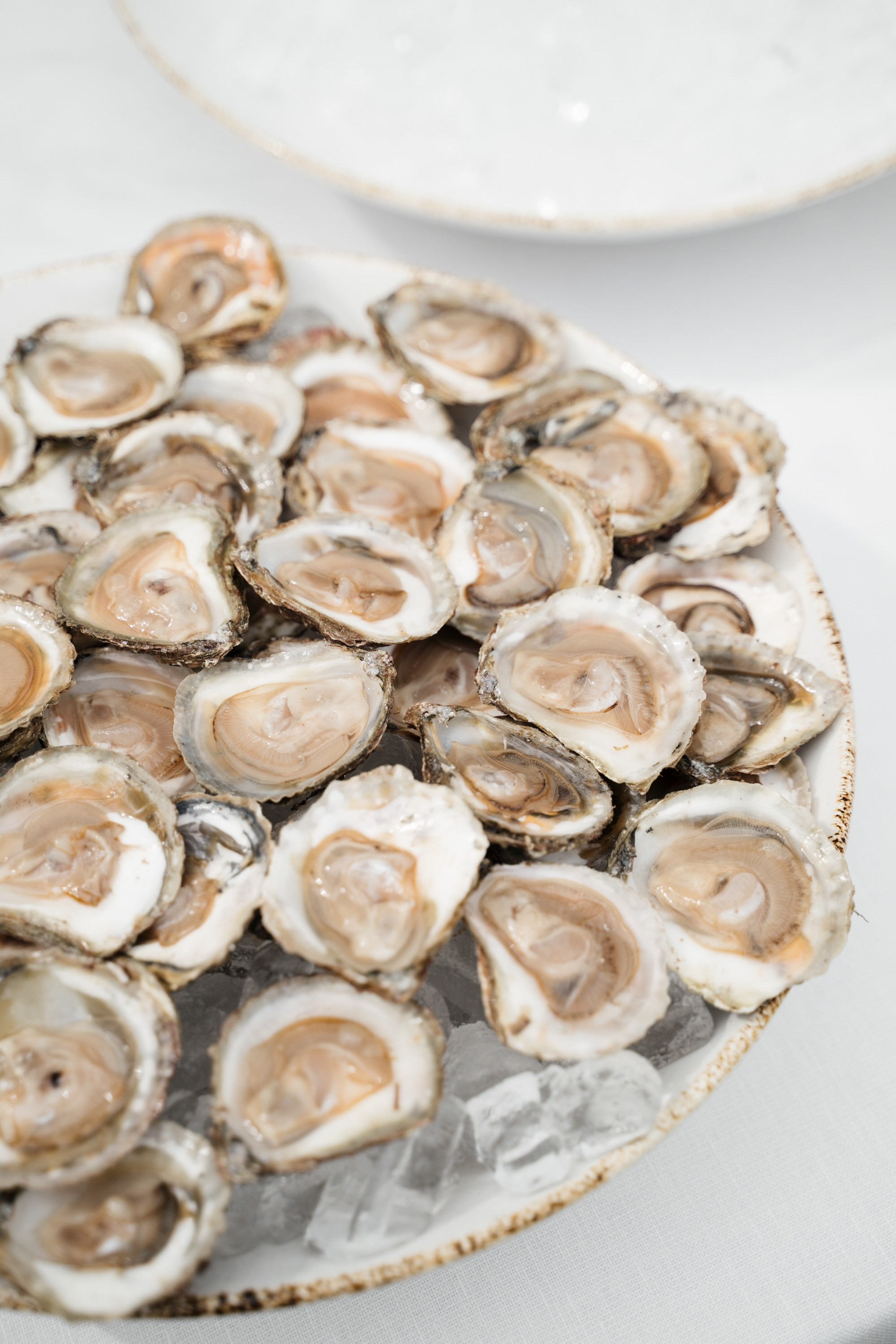 Villa Arvedi. Valeria Coconova Photographer Italy Como Milan