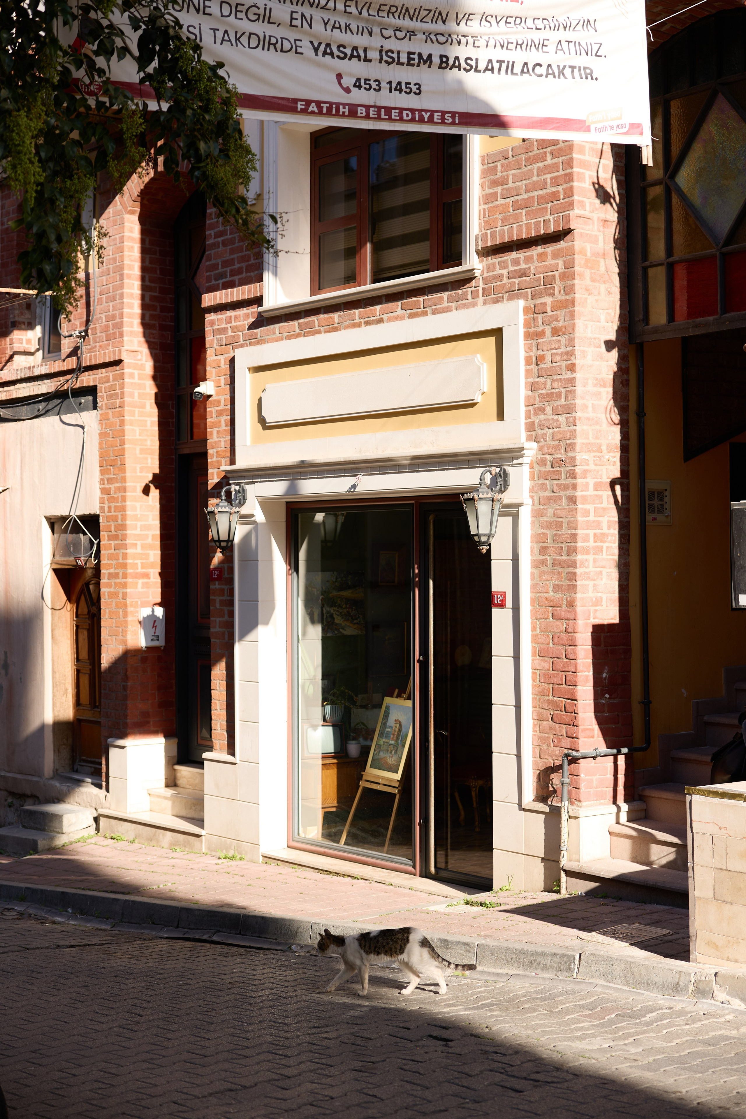 Стамбул 24. Фотограф Москва, Дима Пеллер