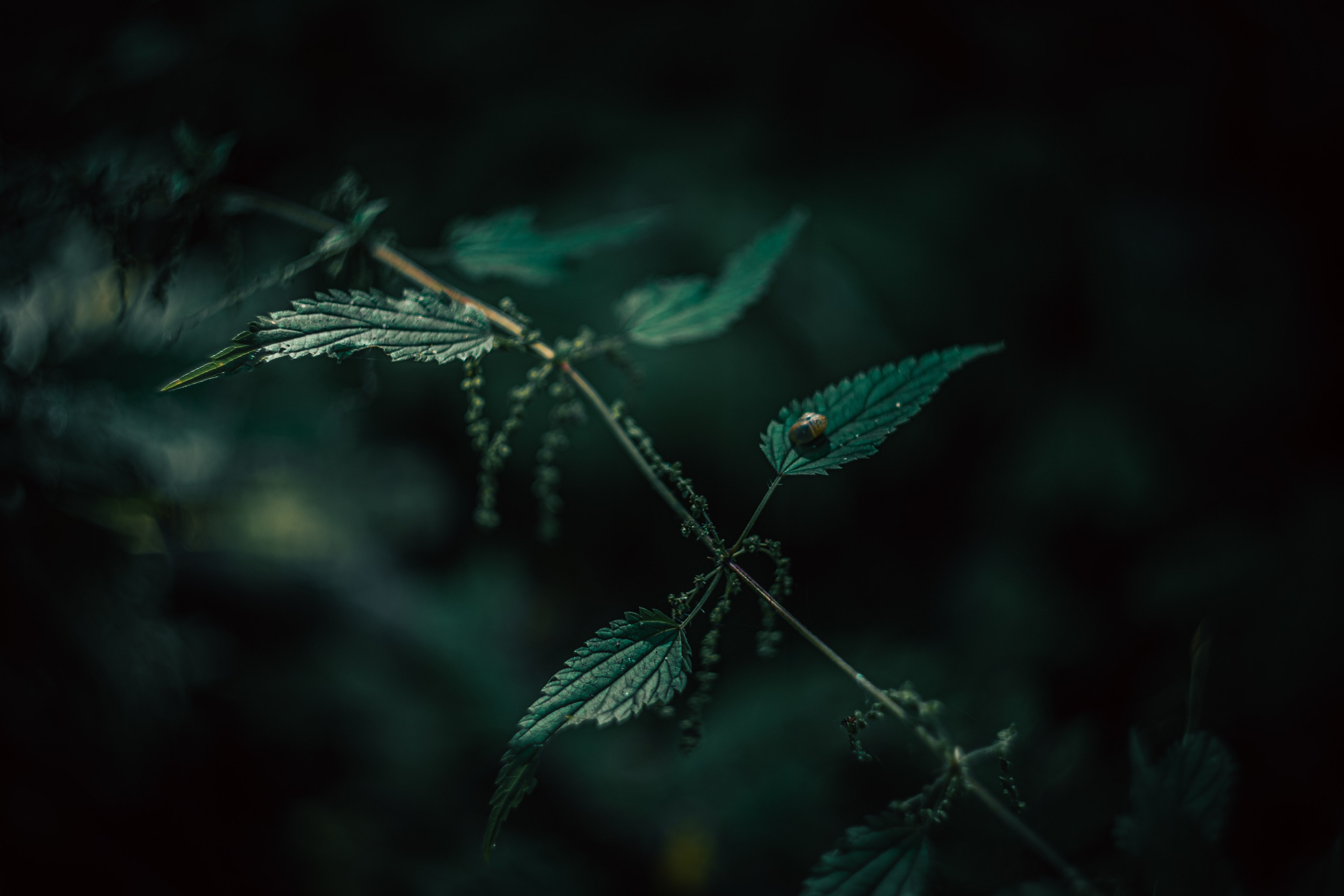 Сентябрь 2024. Efremovaphoto.ru