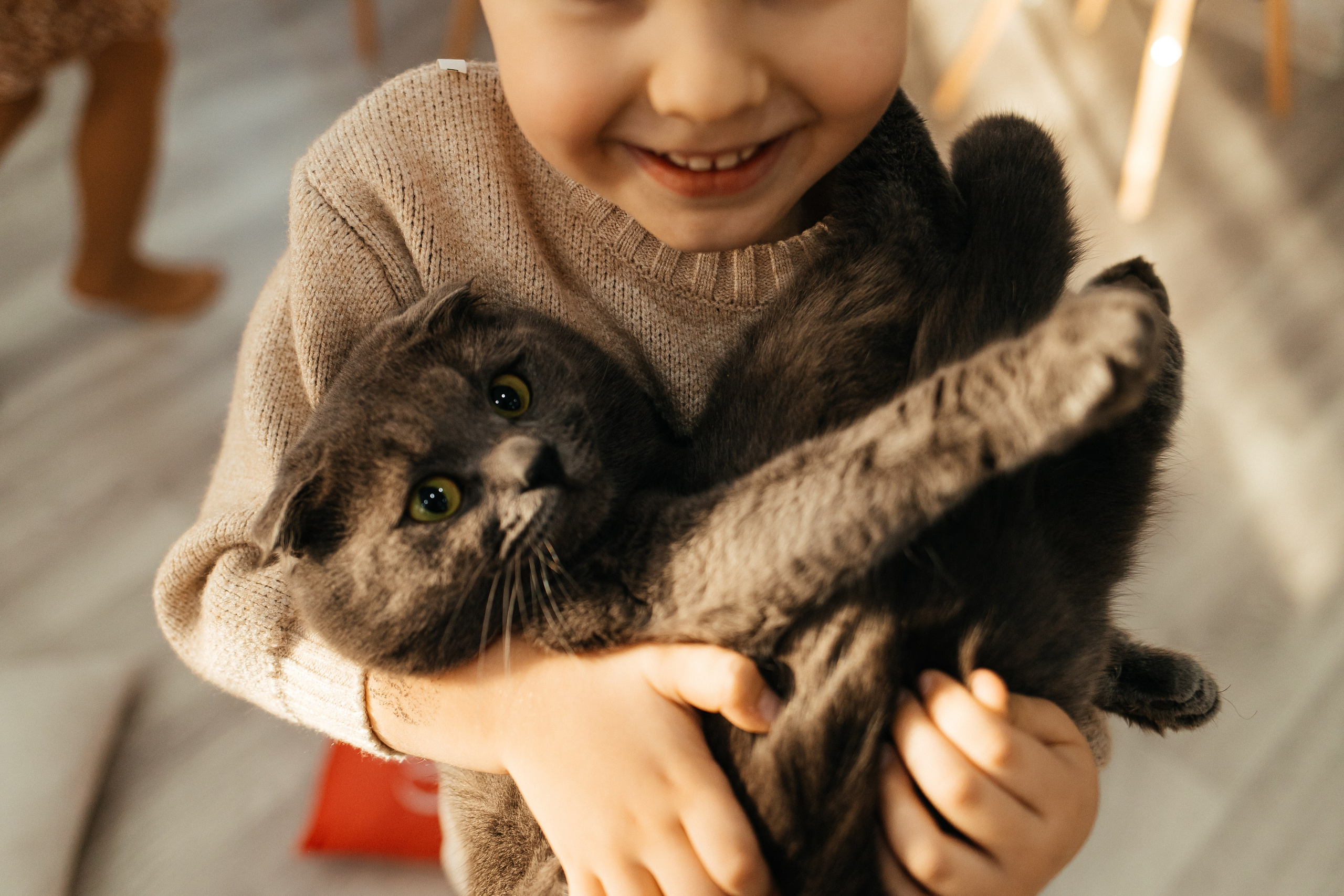 Фотограф кропоткин. Свадебный фотограф Кропоткин Краснодар