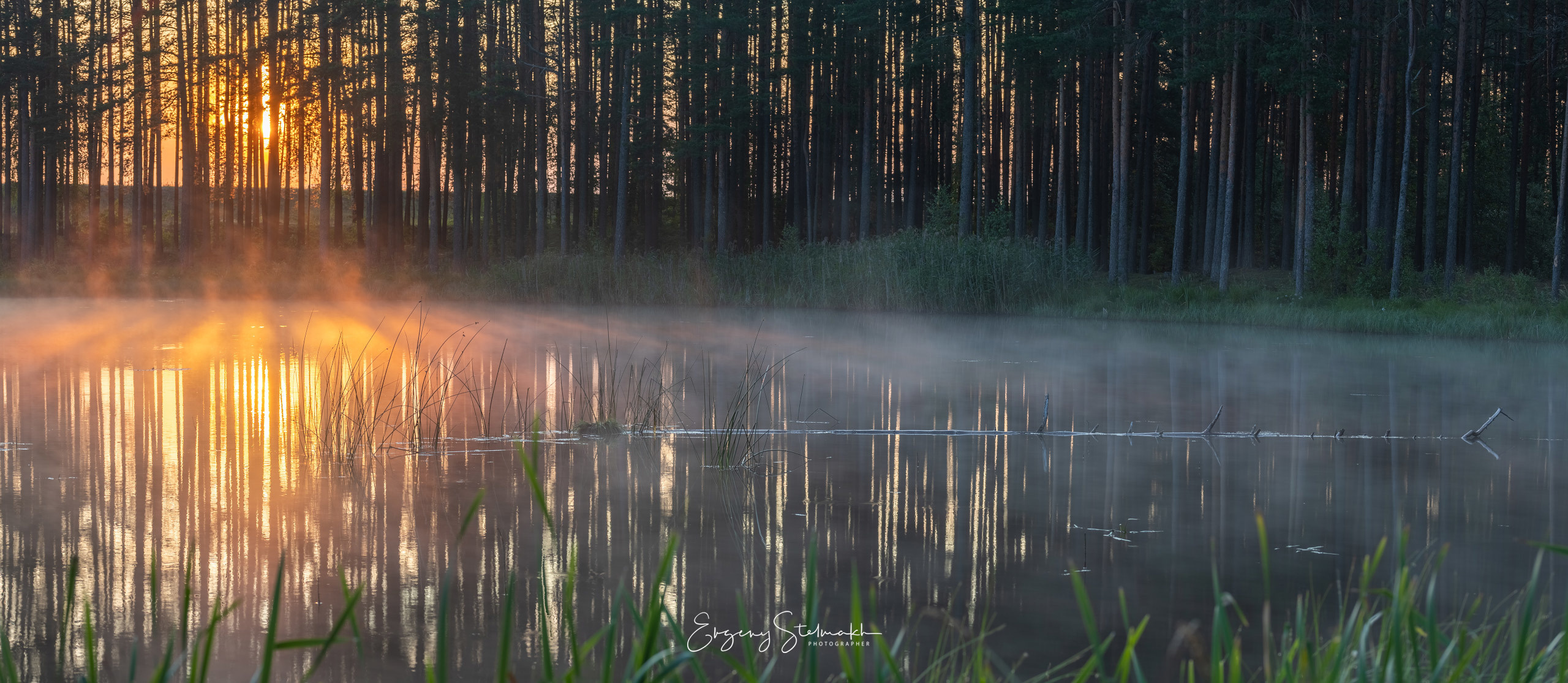 Лесное озеро на берегу вилейского водохранилища. Дата/время: 2019-07-15 05:24:58 GPS: 54.4851650 N  ,  26.9866850 E