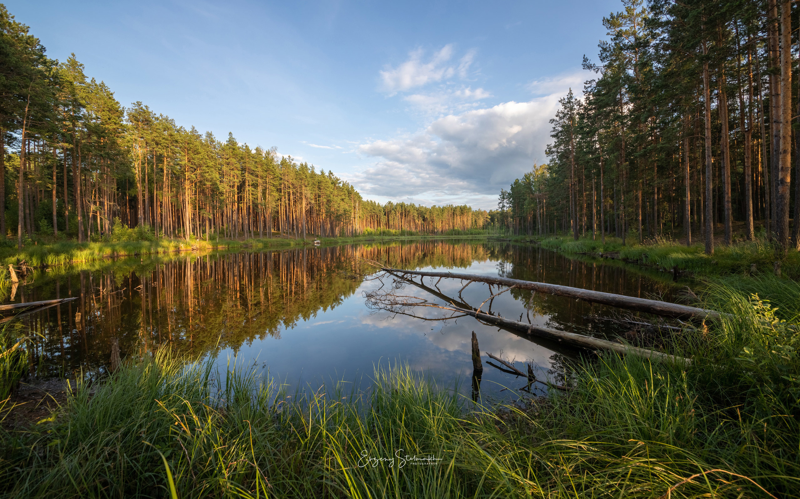 Лесное озеро