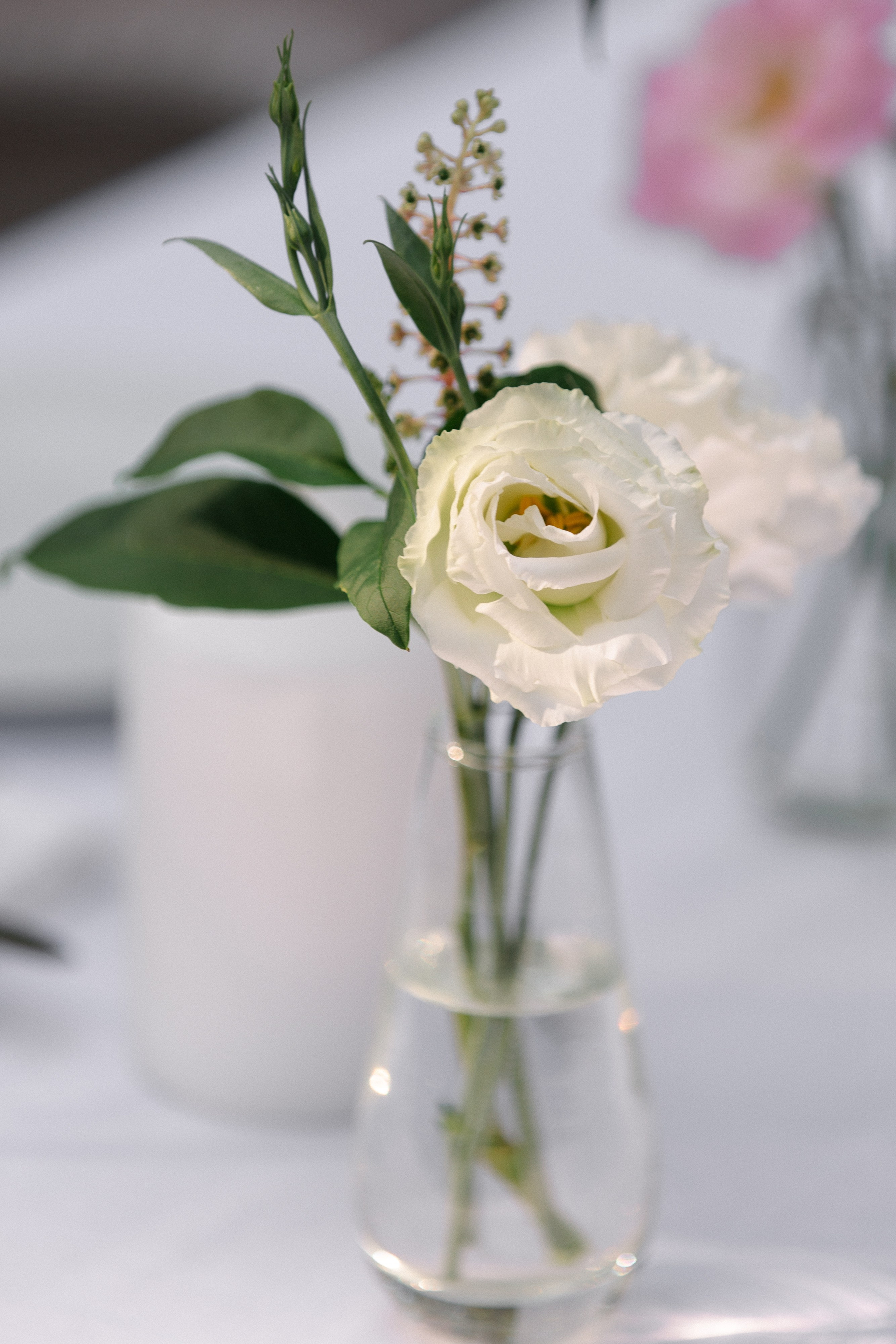 Регистрация в Гостином дворе, ужин в ресторане Библиотека в Переделкино. Свадебный фотограф в Москве Мария Крош