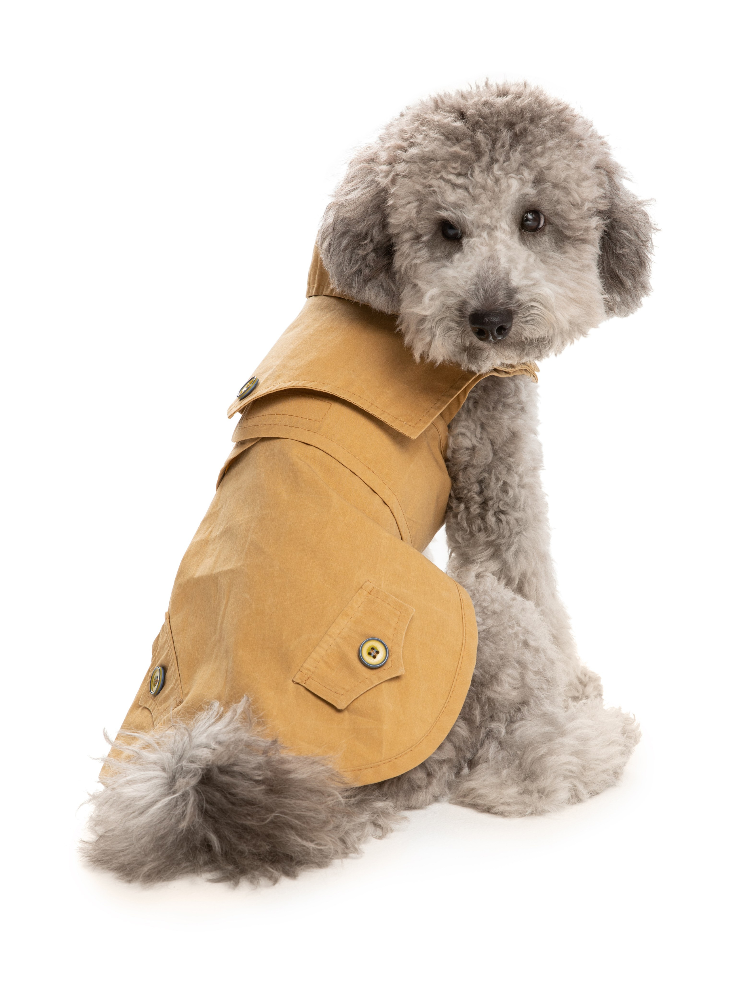 Одежда для собак Pet Subject. Олег Дмитриев