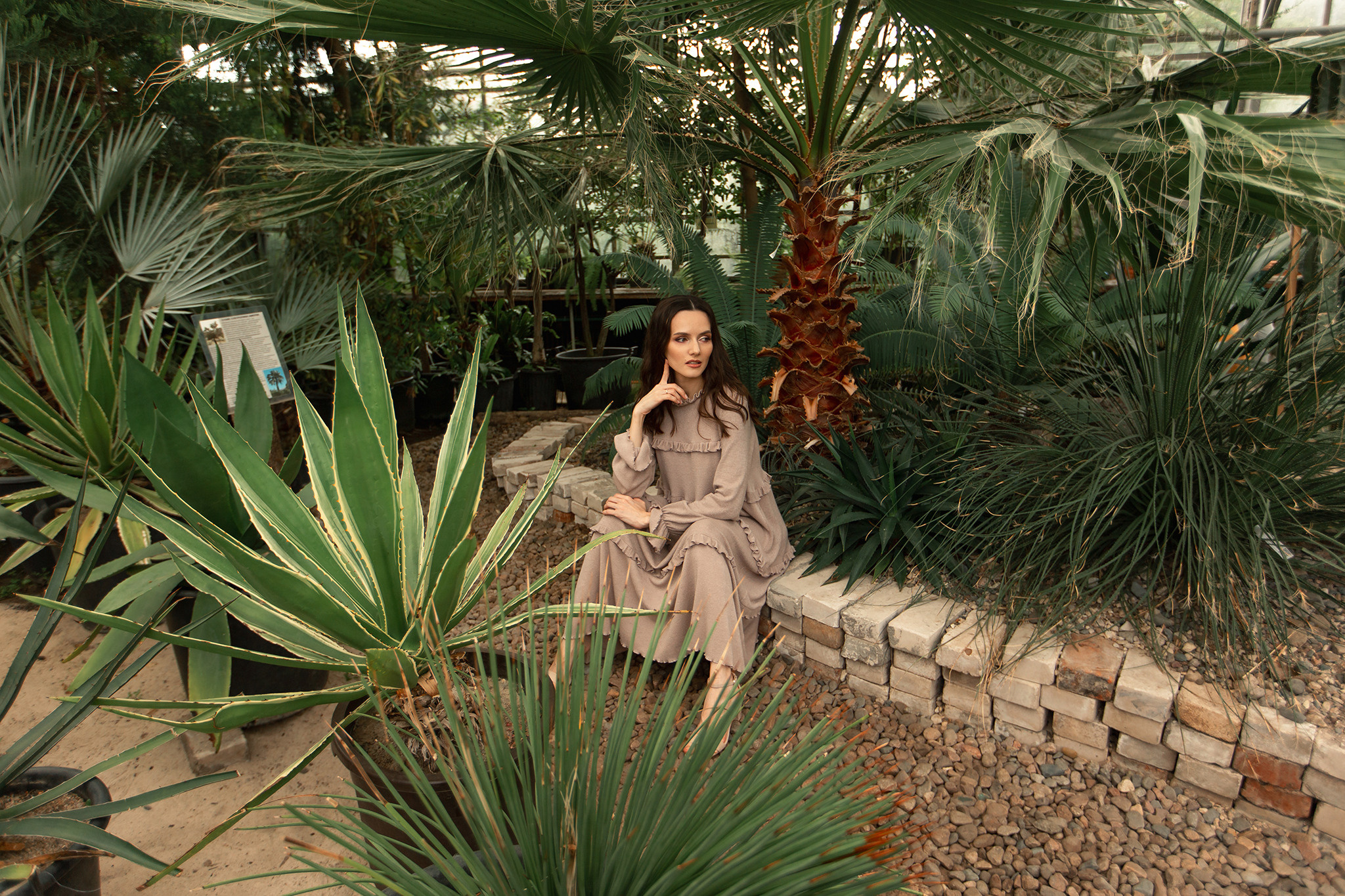 Съемка для Татьяны. Бизнес: онлайн-магазин фиалок. Семейный фотограф в Москве Марина Петра