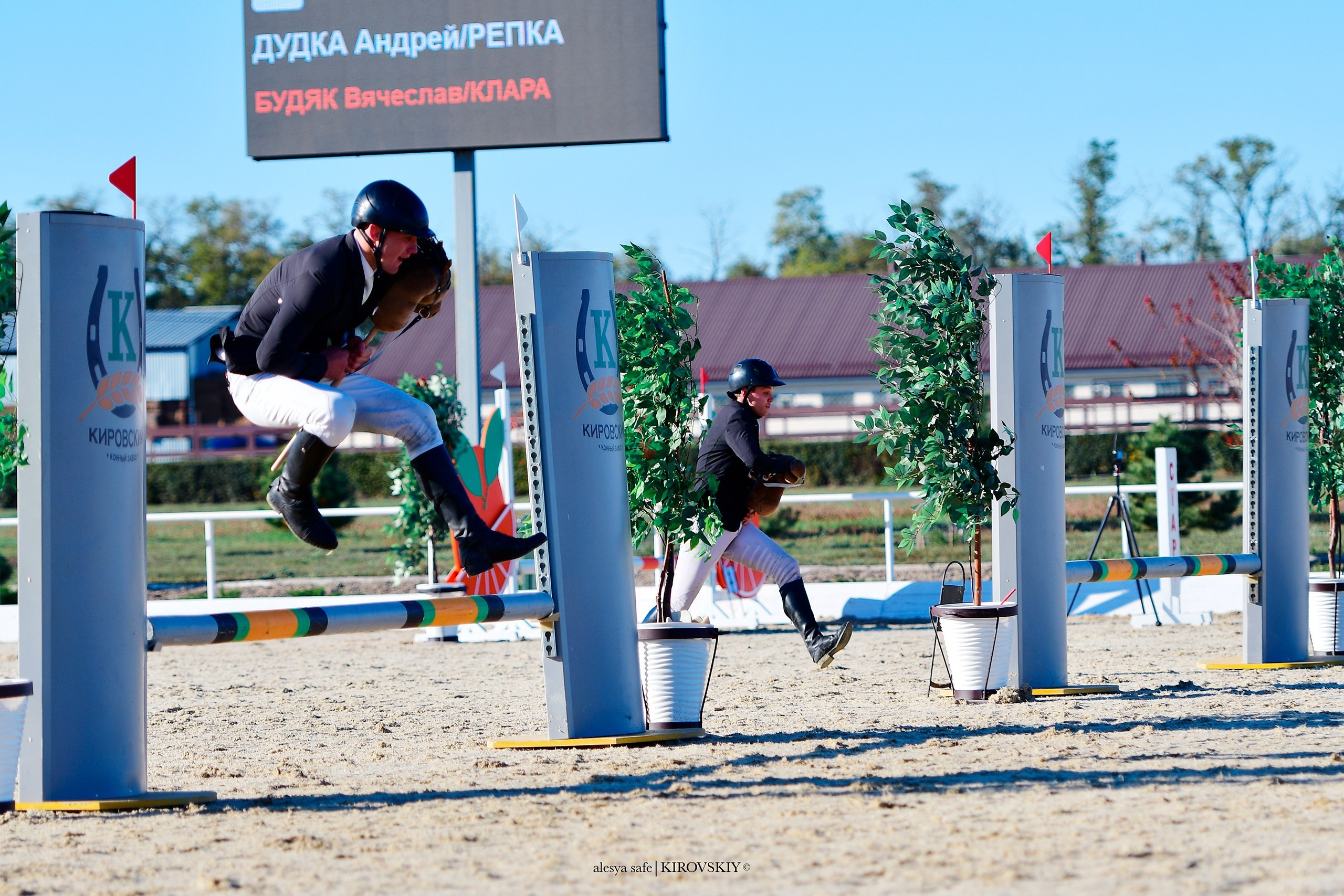 Кировский конный завод. Конный фотограф Alesya Safe