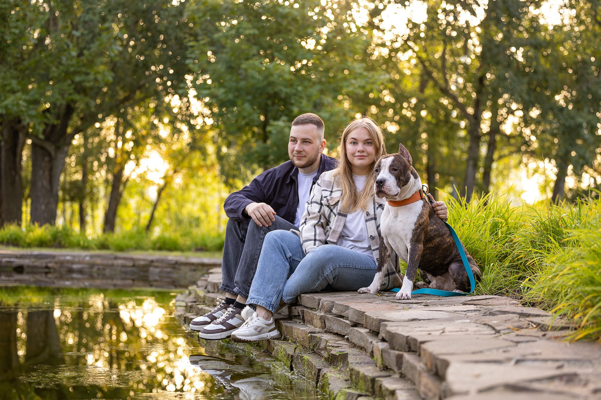 Амстафф Честер и его семья. Фотограф-анималист Natalia Deingel | Фотосъемка собак в Москве