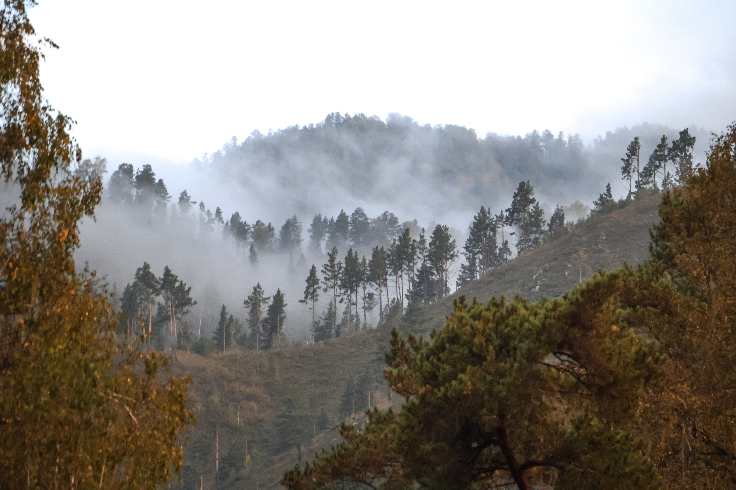 «Территория счастья» база отдыха, респ. Алтай. Контент фотограф Дмитрий Борисов
