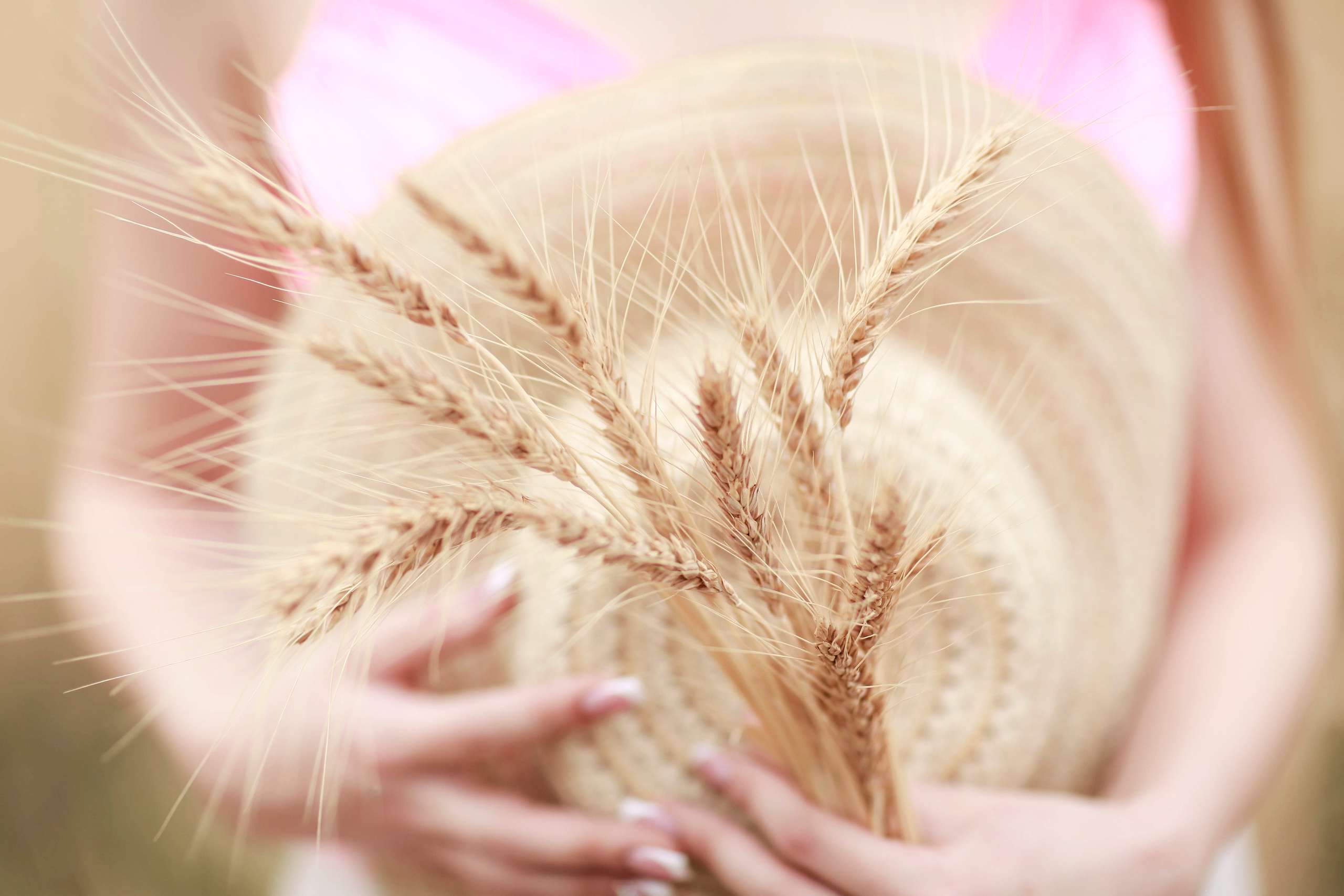 В пшенице. Свадебный и семейный фотограф/видеограф в Краснодаре Наталья Осинская