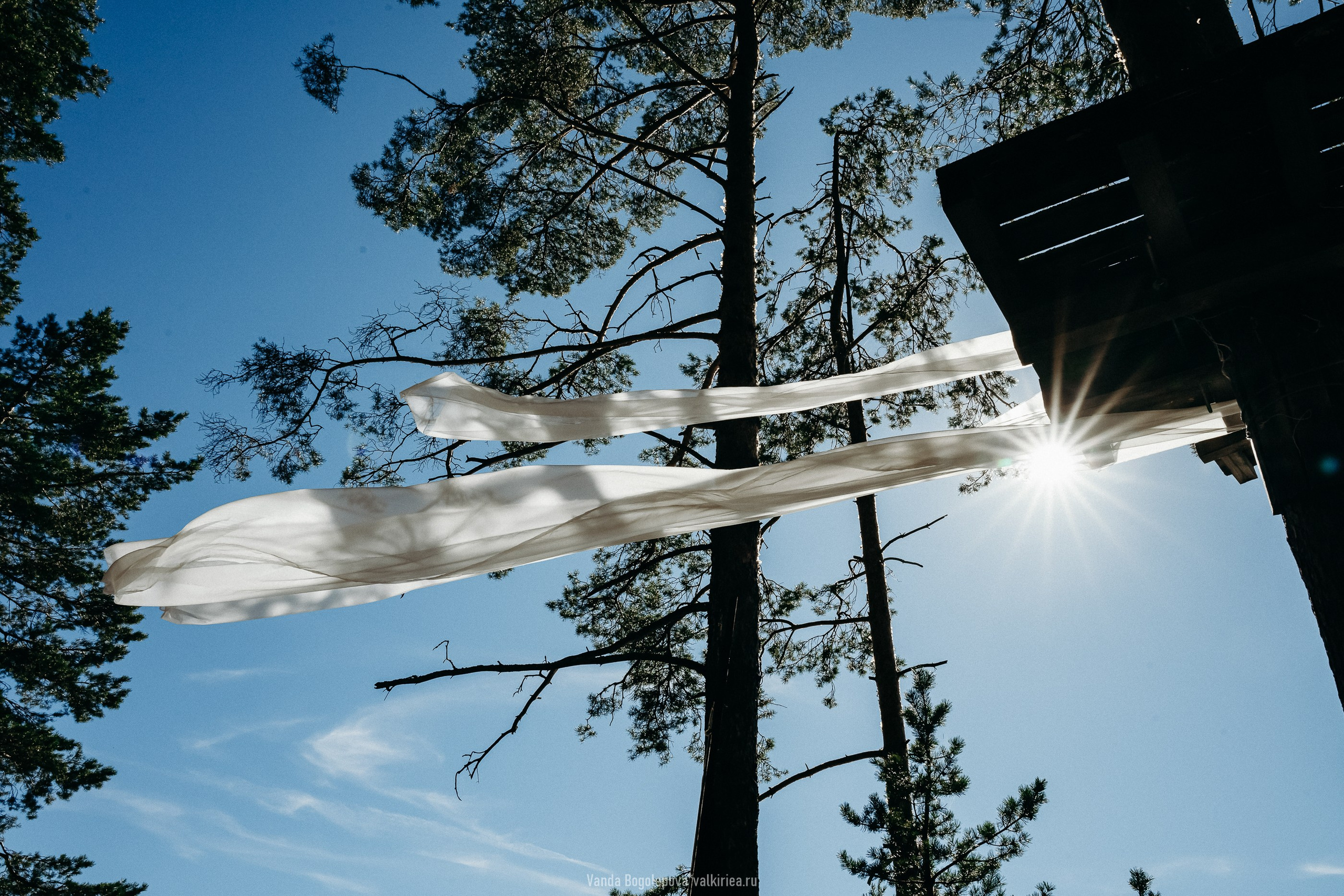 Фестиваль «Дофамин» 2024. Фотосъемка, свадебная фотосъемка, Москва, Нижний Новгород