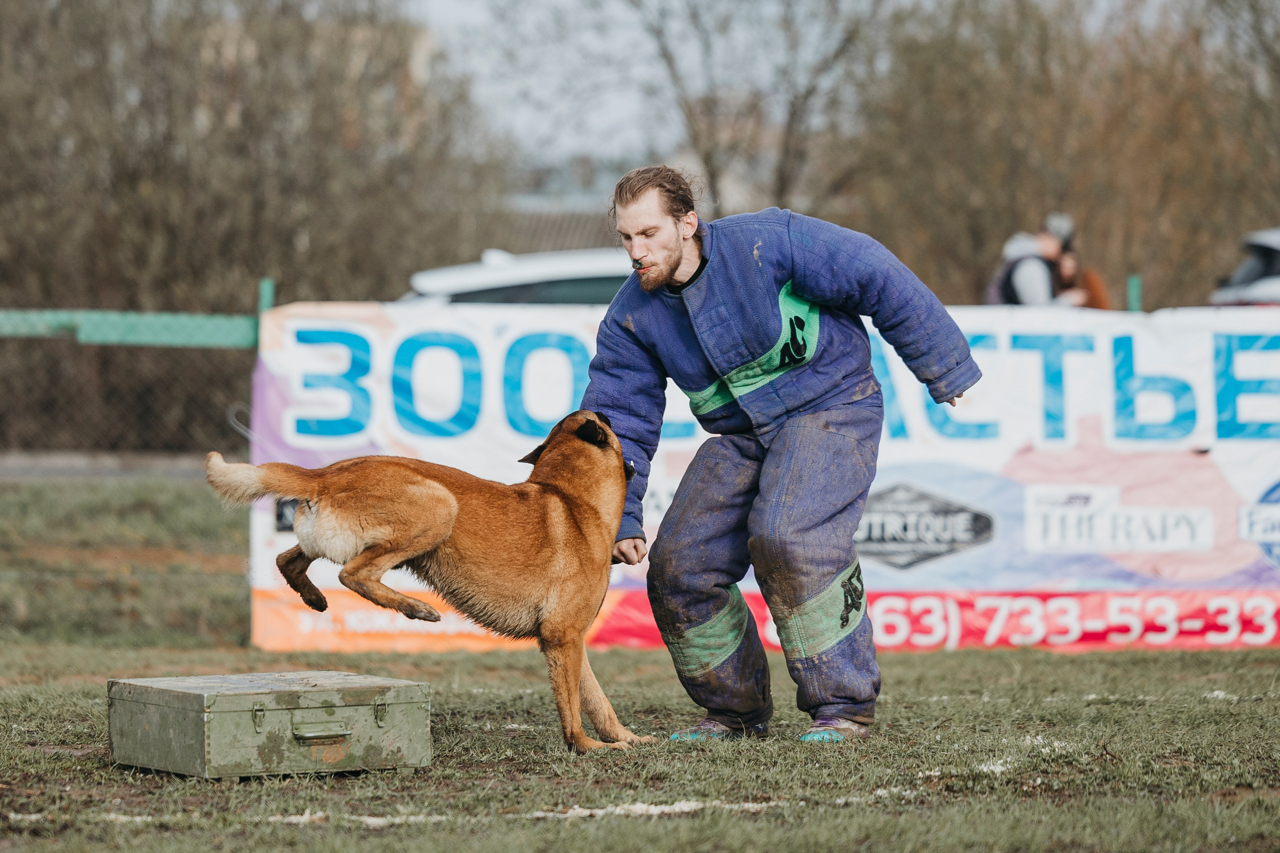 09.05.25 Вологда соревнования. Фотограф-анималист Анна Маринич