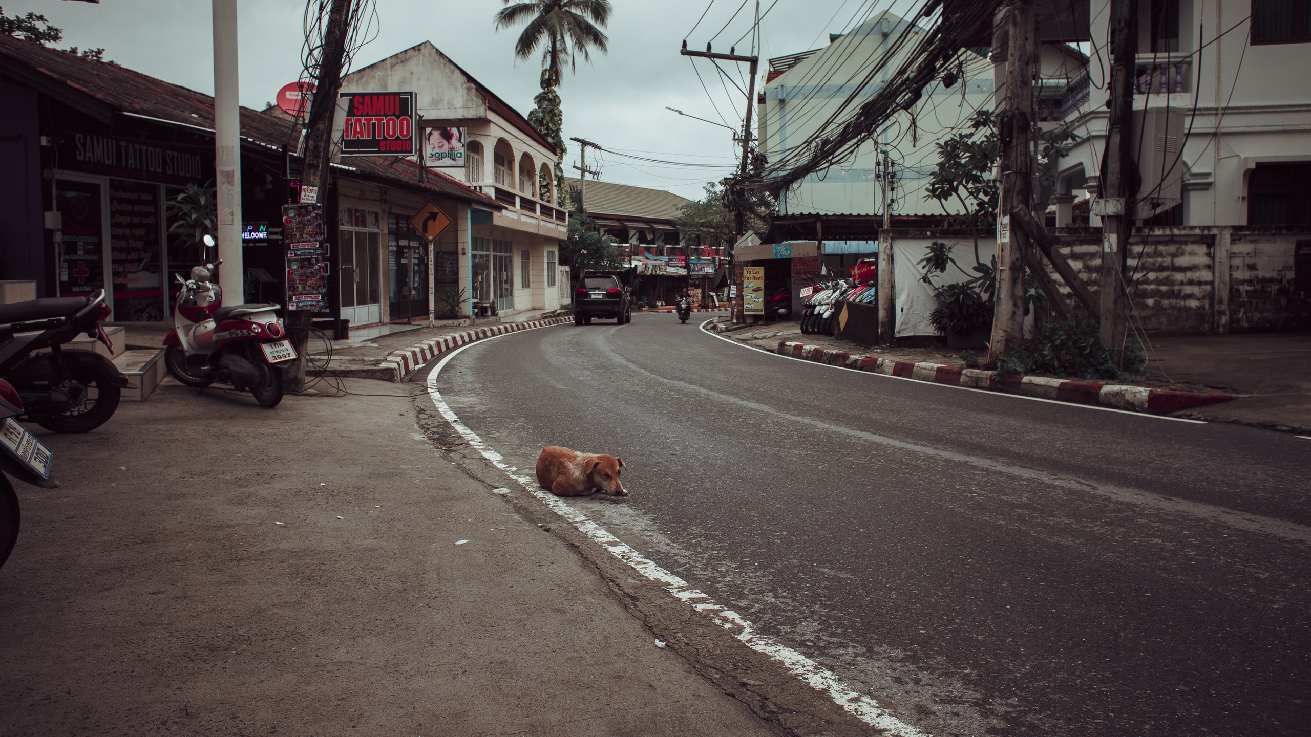 Самуи Собачий остров. Ню Фотограф Александр Касымов Москва, фотосессии, Химки фотограф