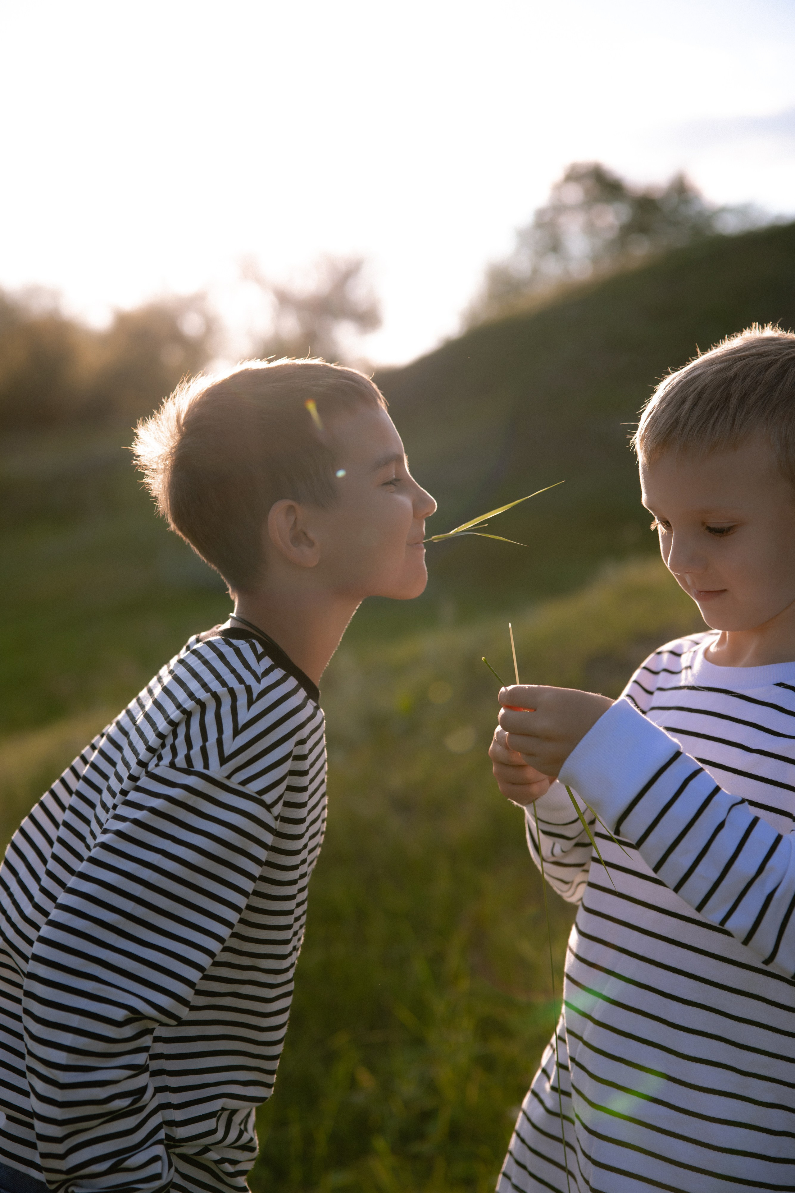 Два брата. Семейный фотограф Губкин/Старый Оскол