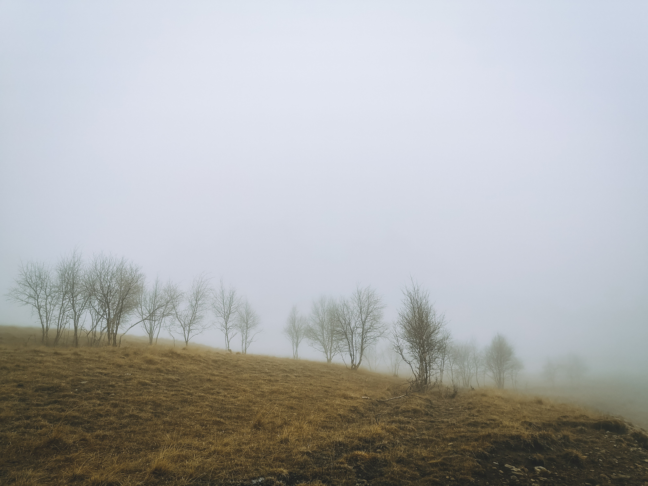 Мобильная солянка. Travel-фотограф Ирина Милинцова