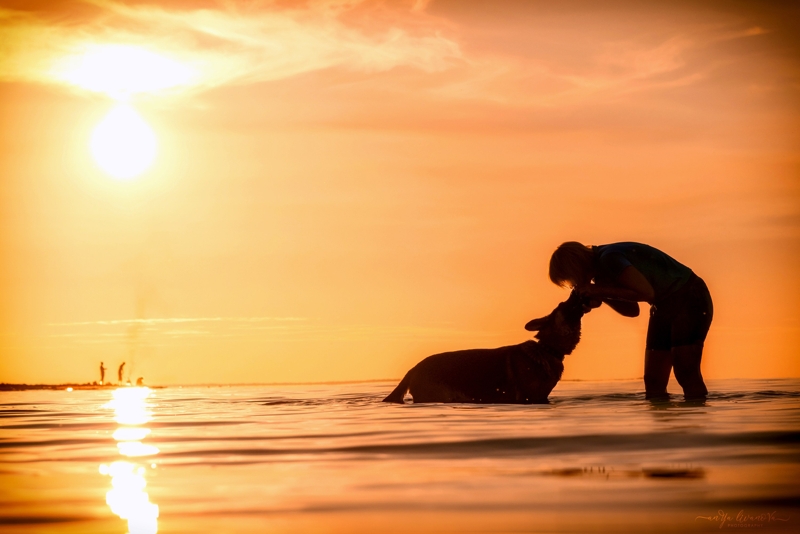 Прайд на море. Фотограф анималист Аня Ливанова | Рыбинск