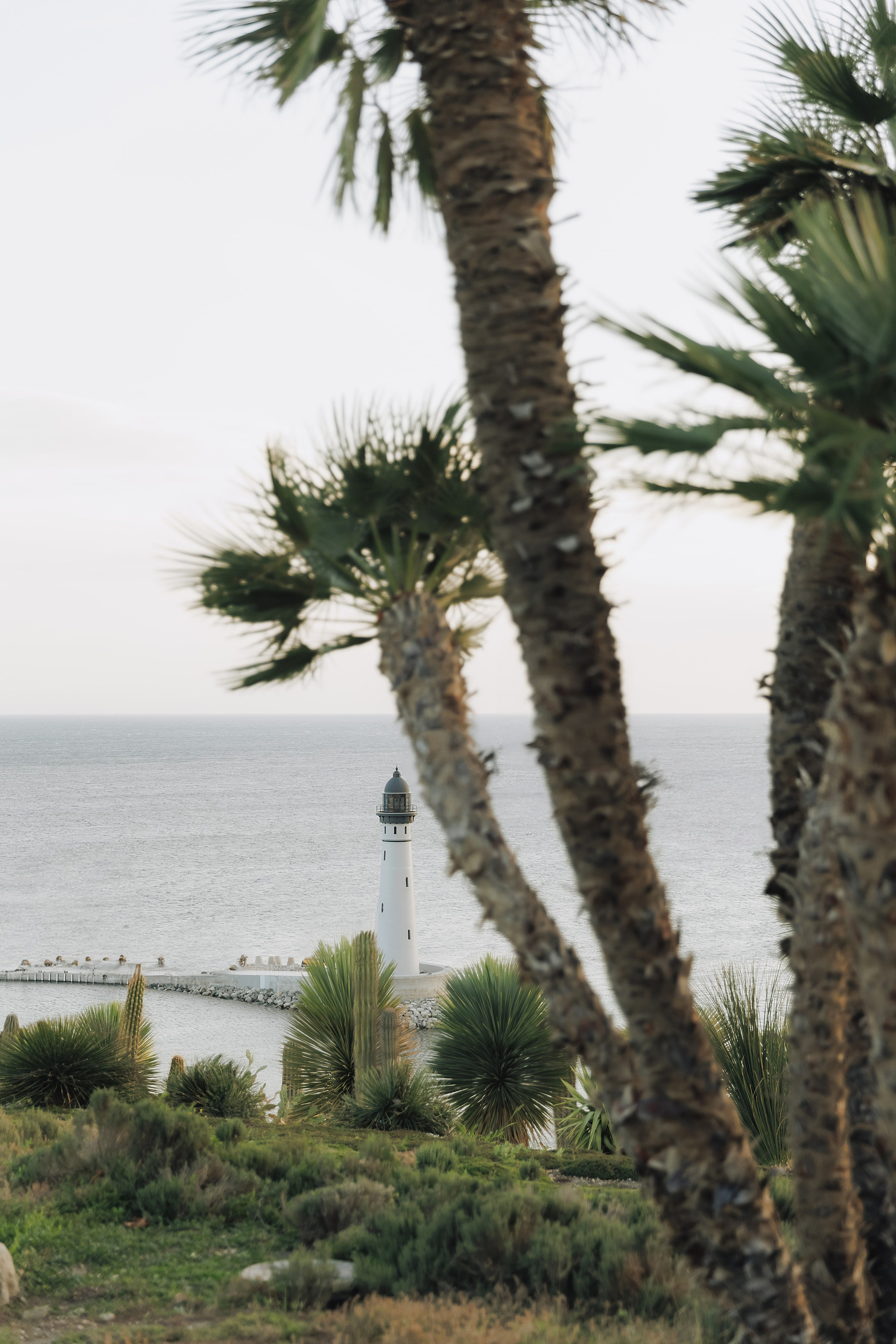 Kate & Andrew. Свадебный фотограф в Севастополе и Крыму| Tanya Sher