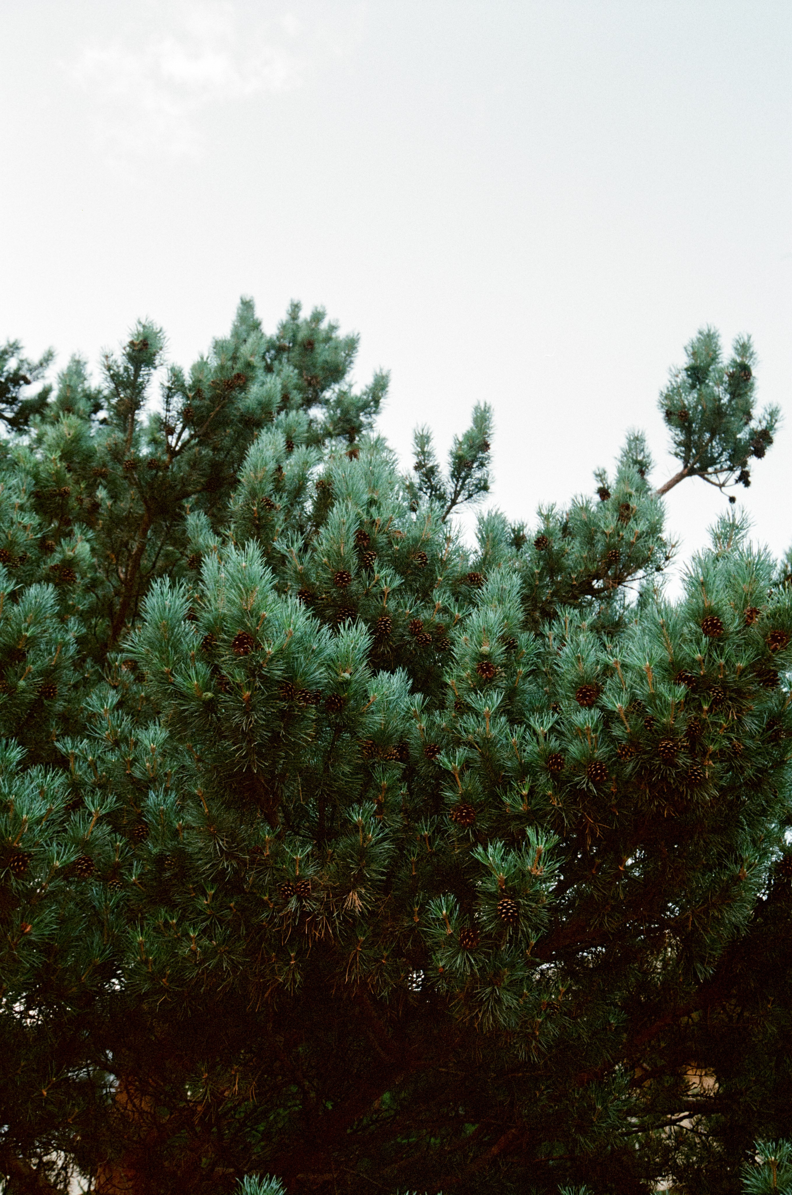 АРМЕНИЯ.24. Профессиональный фотограф Федотова Арина