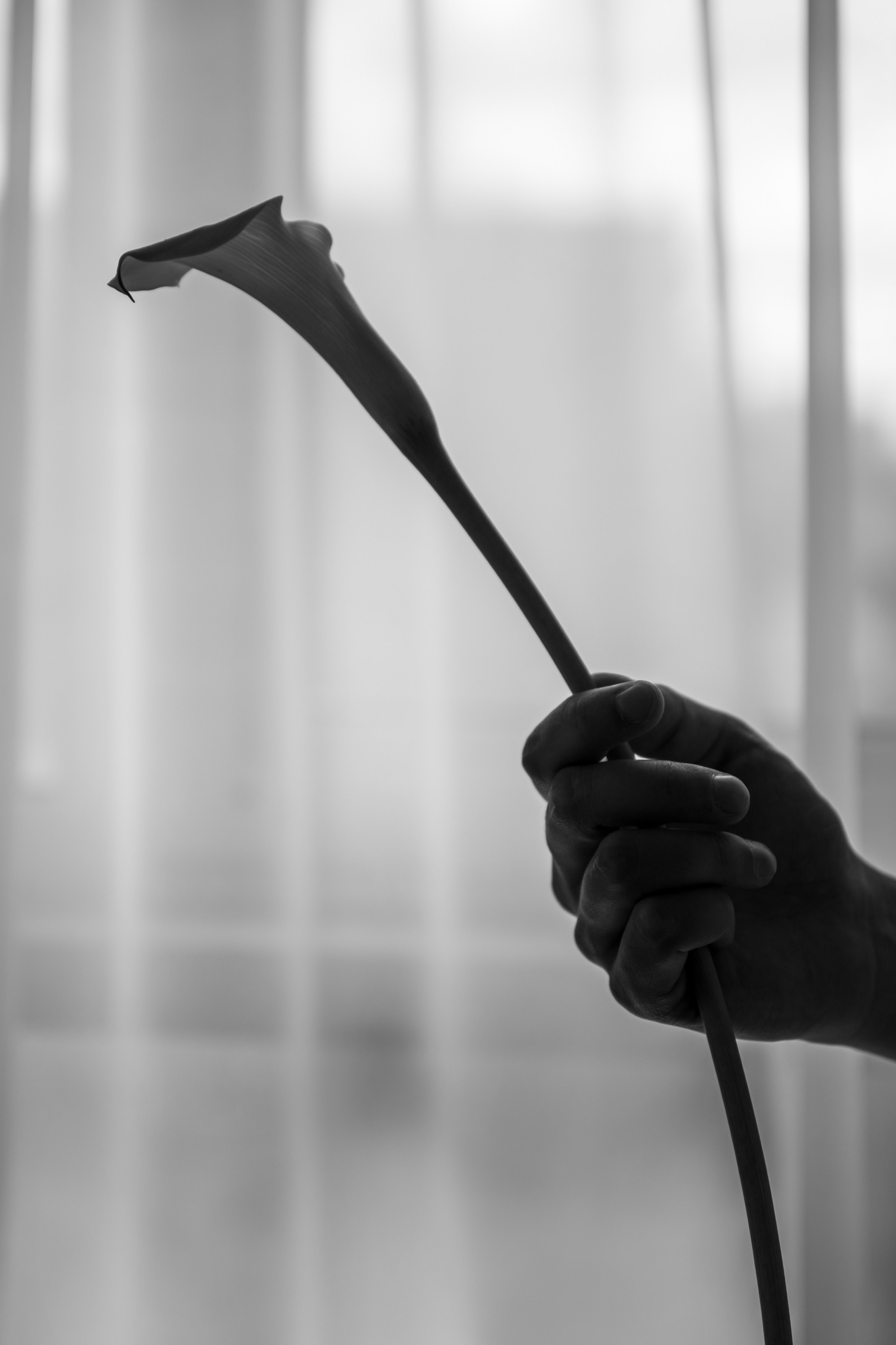 Богдан и Снежана. Главная