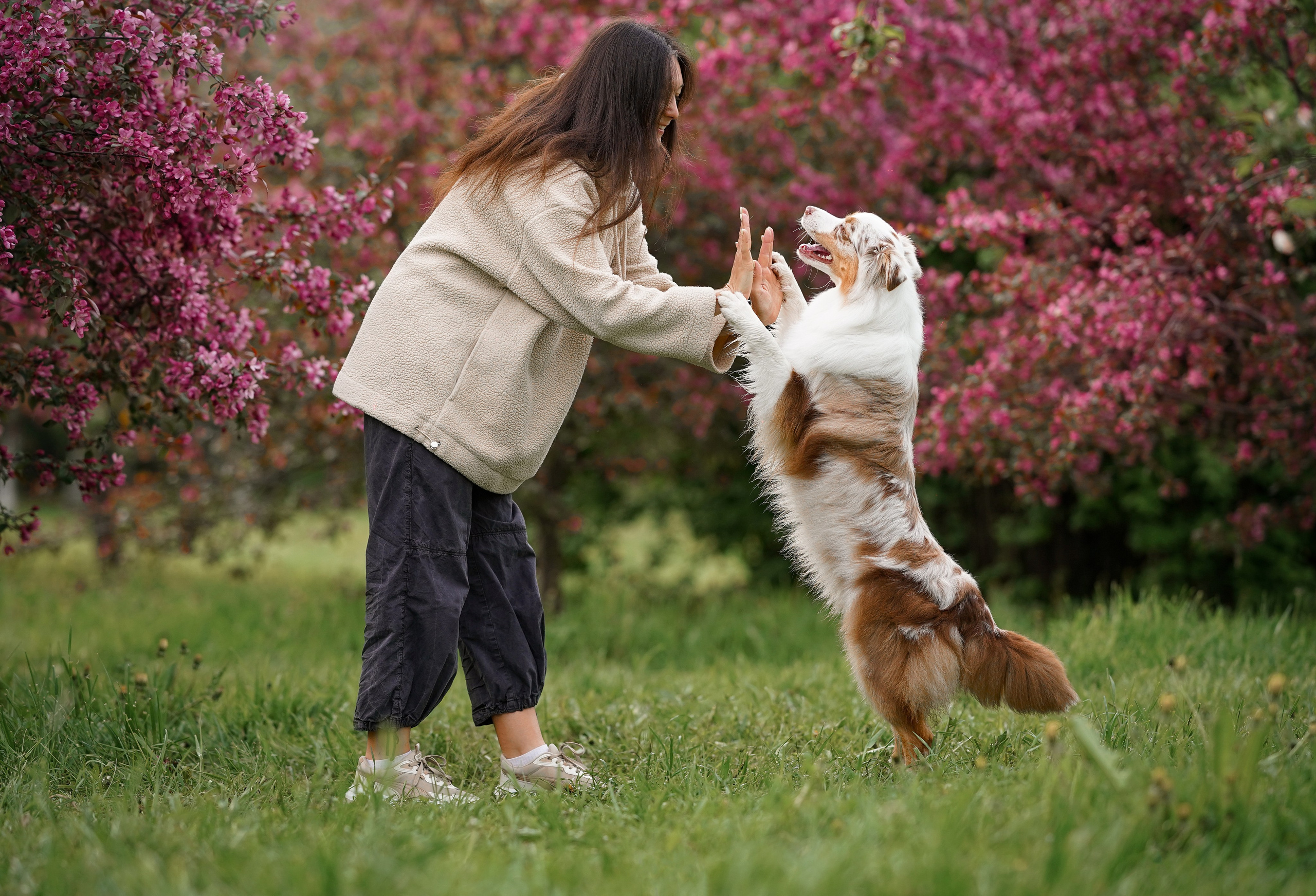 Панда в Яблоневом саду. Фотограф-анималист в Санкт-Петербурге Яна Мартынова