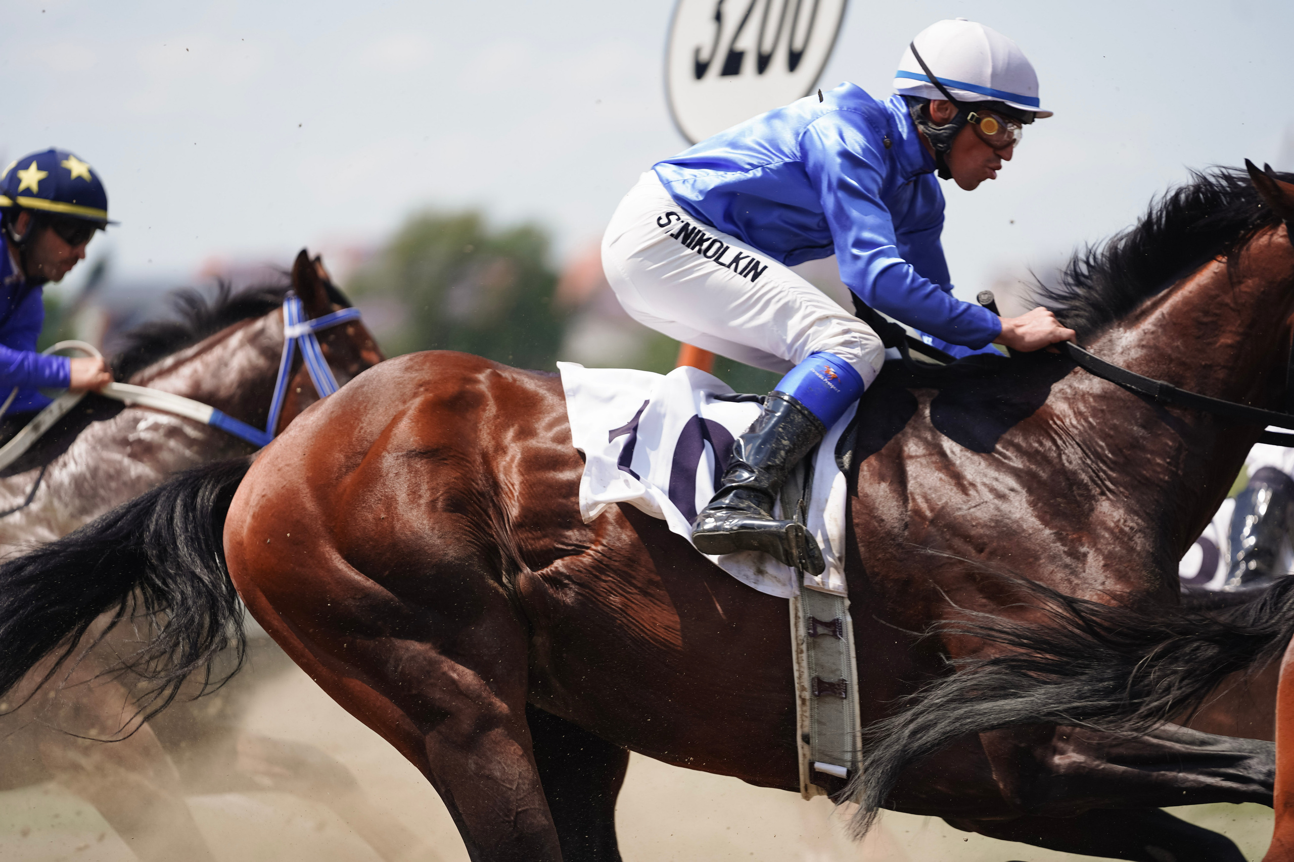 Скачки. Фотограф с психологическим образованием