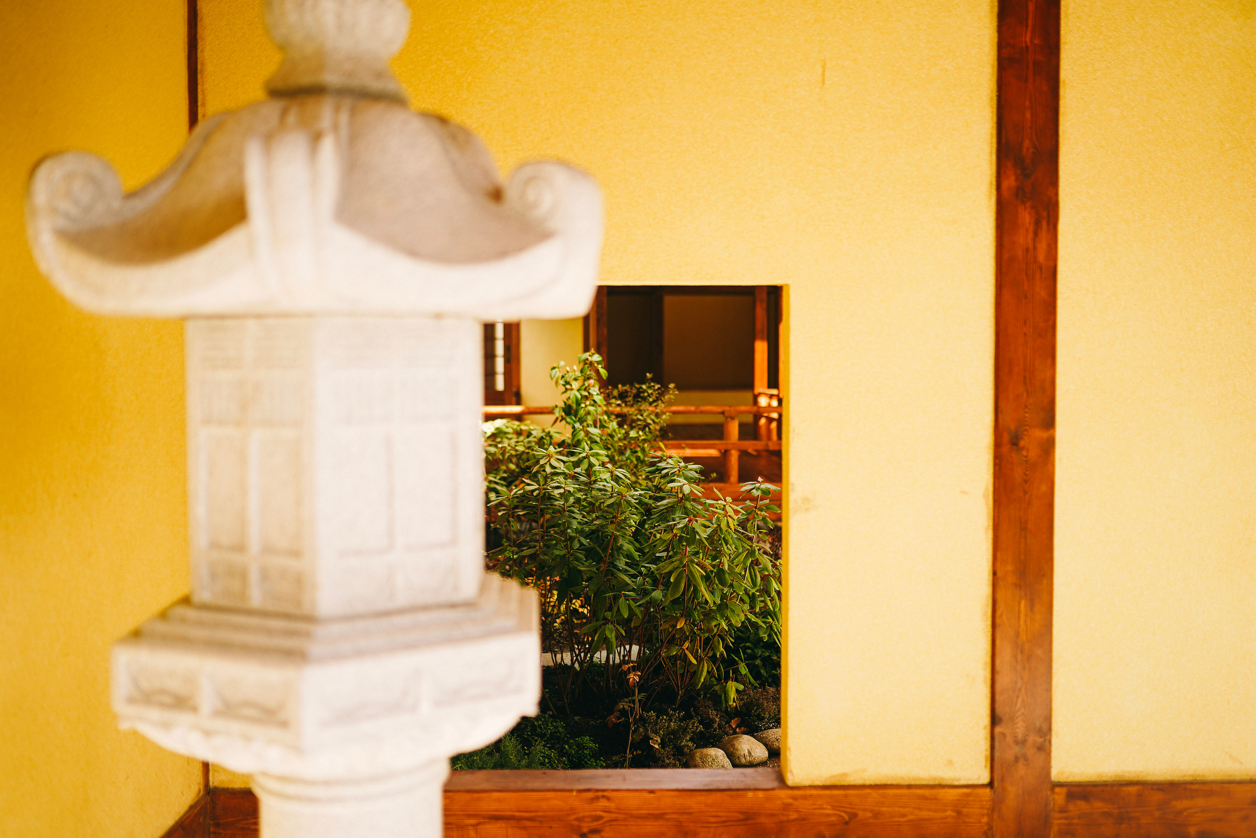 Японский сад. Фотограф с психологическим образованием