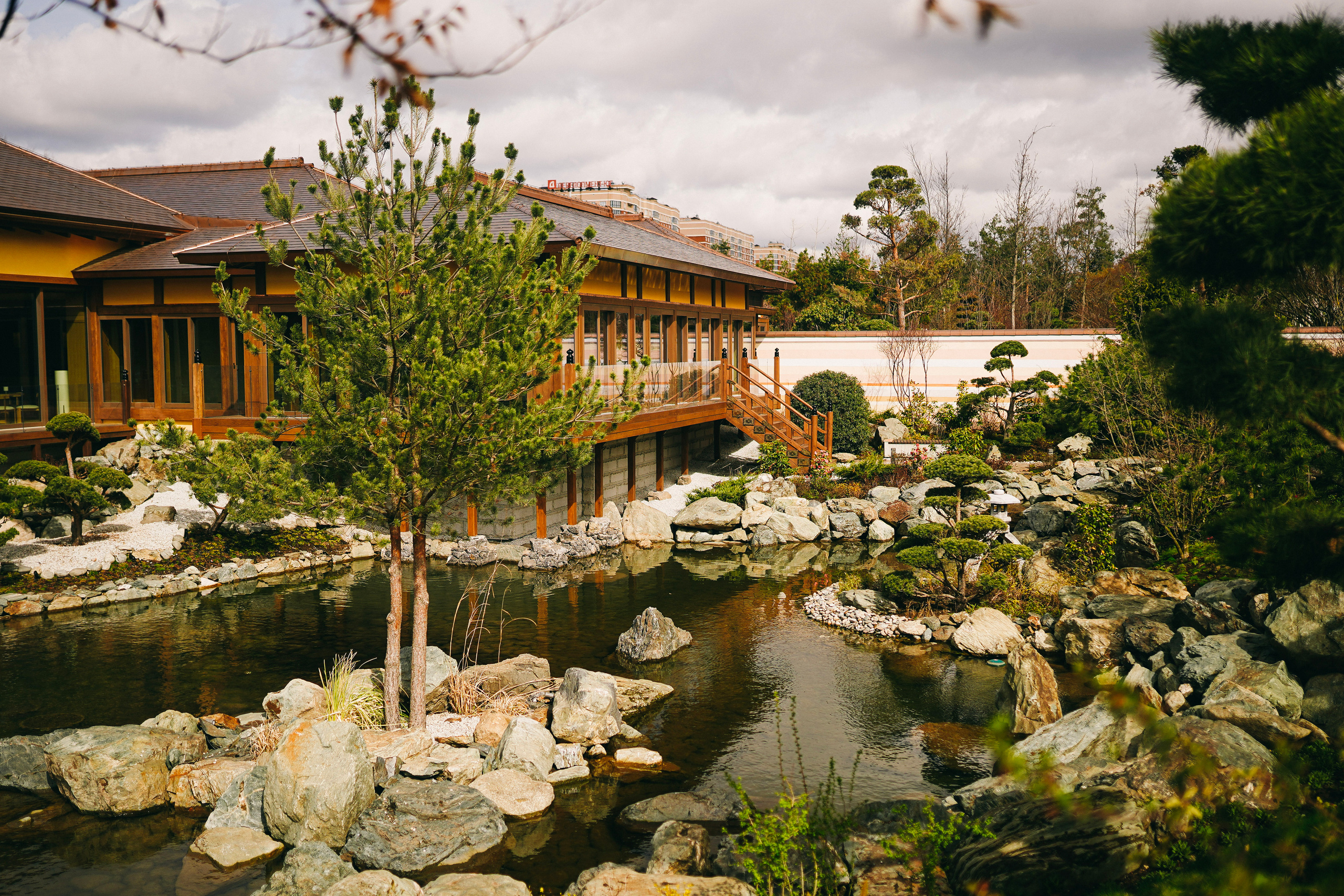 Японский сад. Фотограф с психологическим образованием