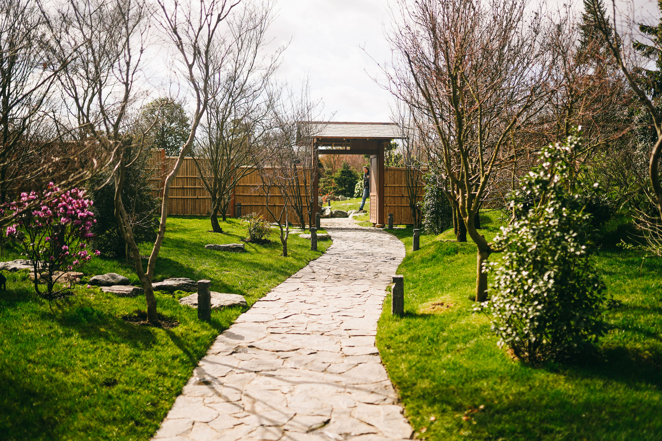 Японский сад. Фотограф с психологическим образованием