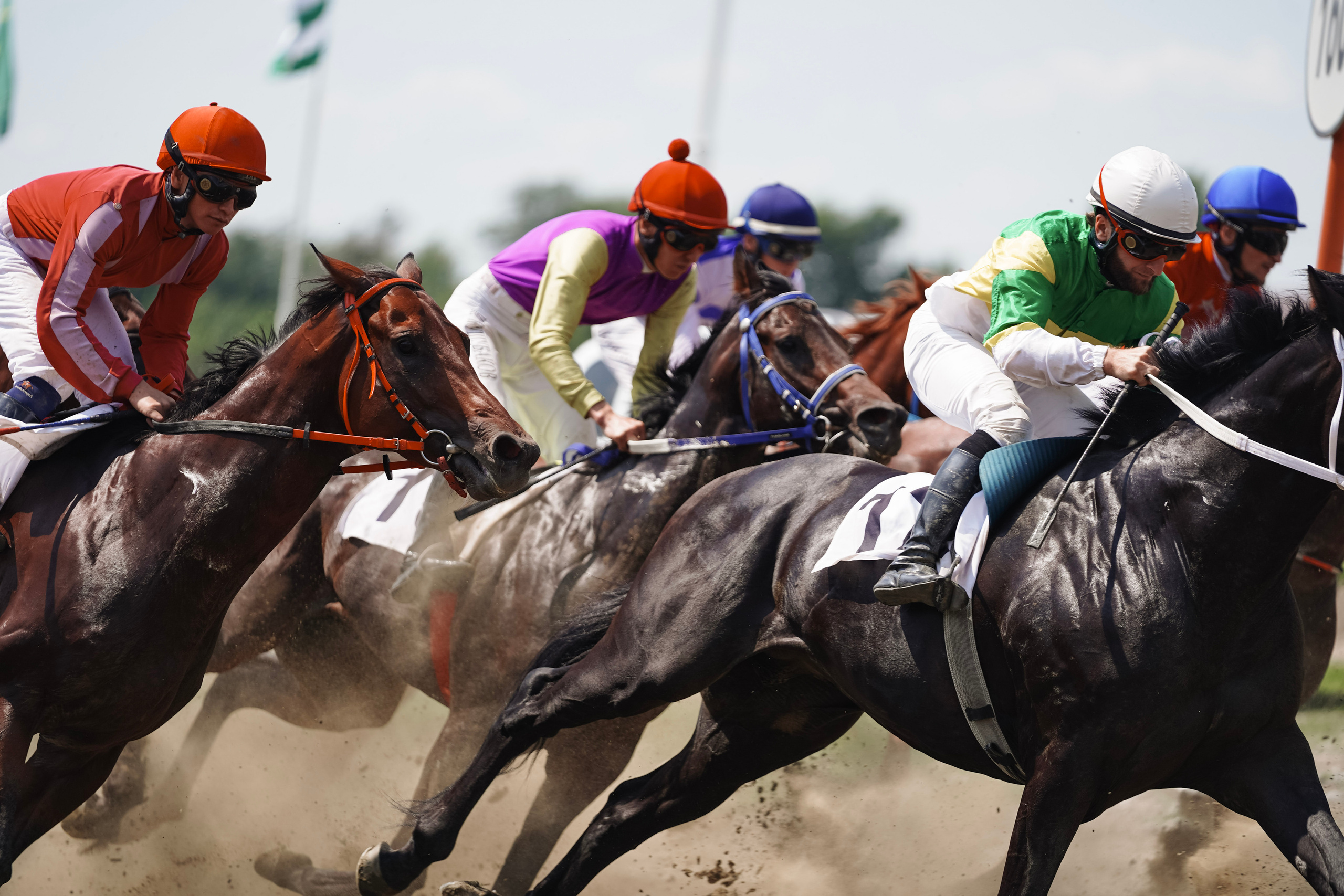 Скачки. Фотограф с психологическим образованием