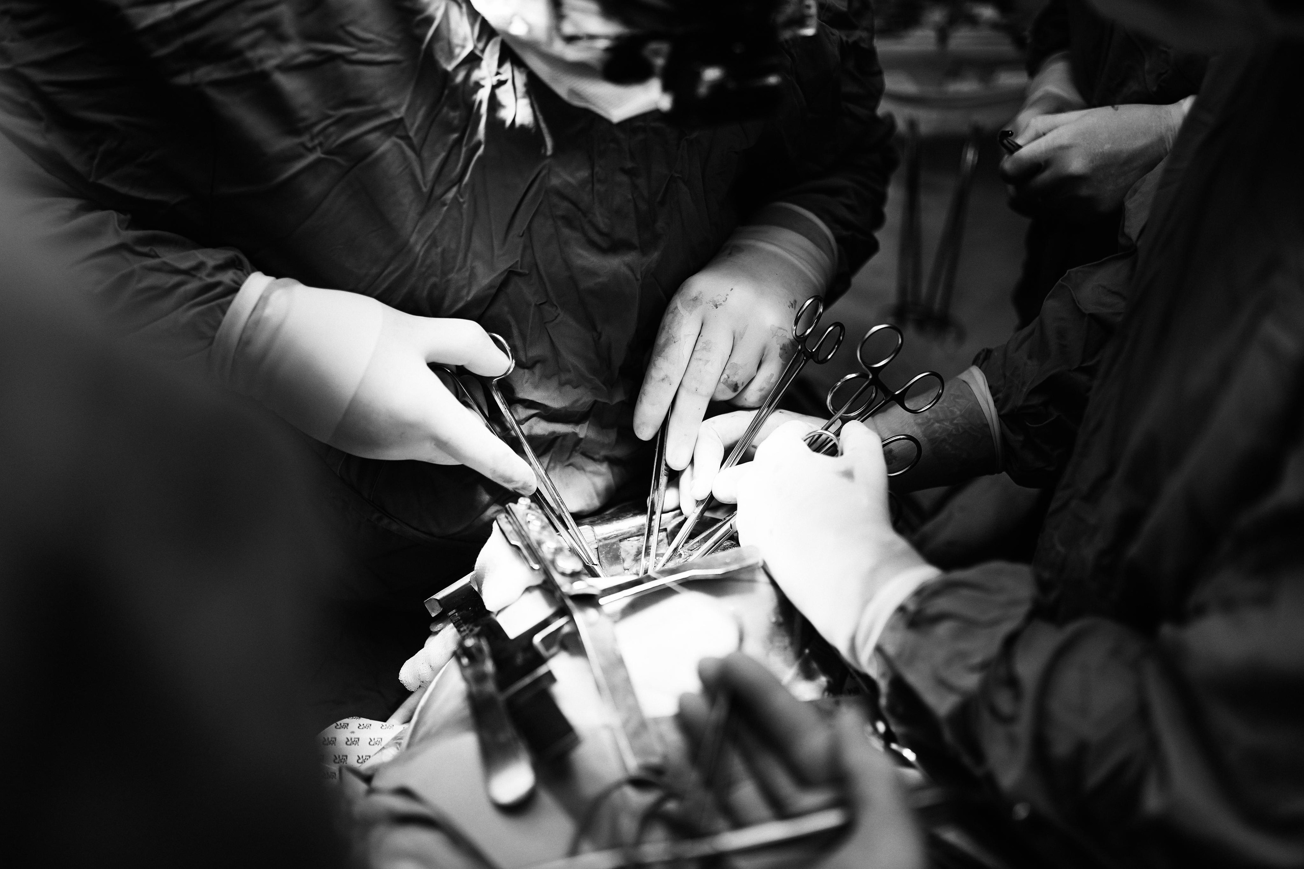 Краевая клиническая больница № 1. Фотограф с психологическим образованием