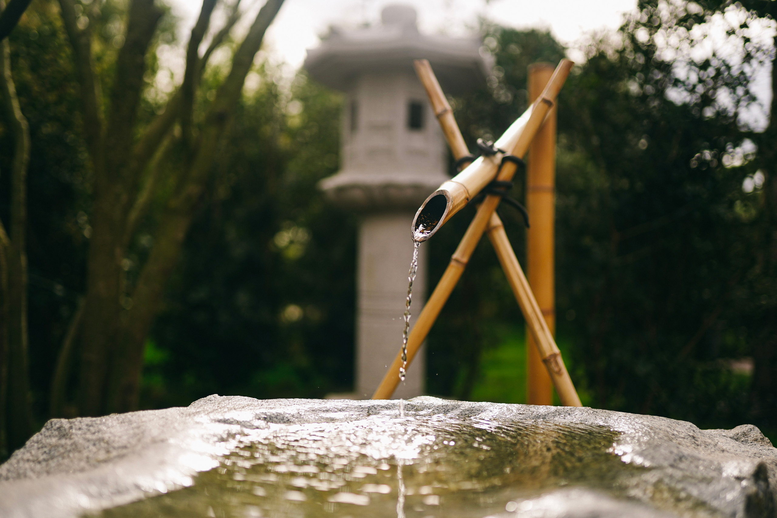 Японский сад. Фотограф с психологическим образованием